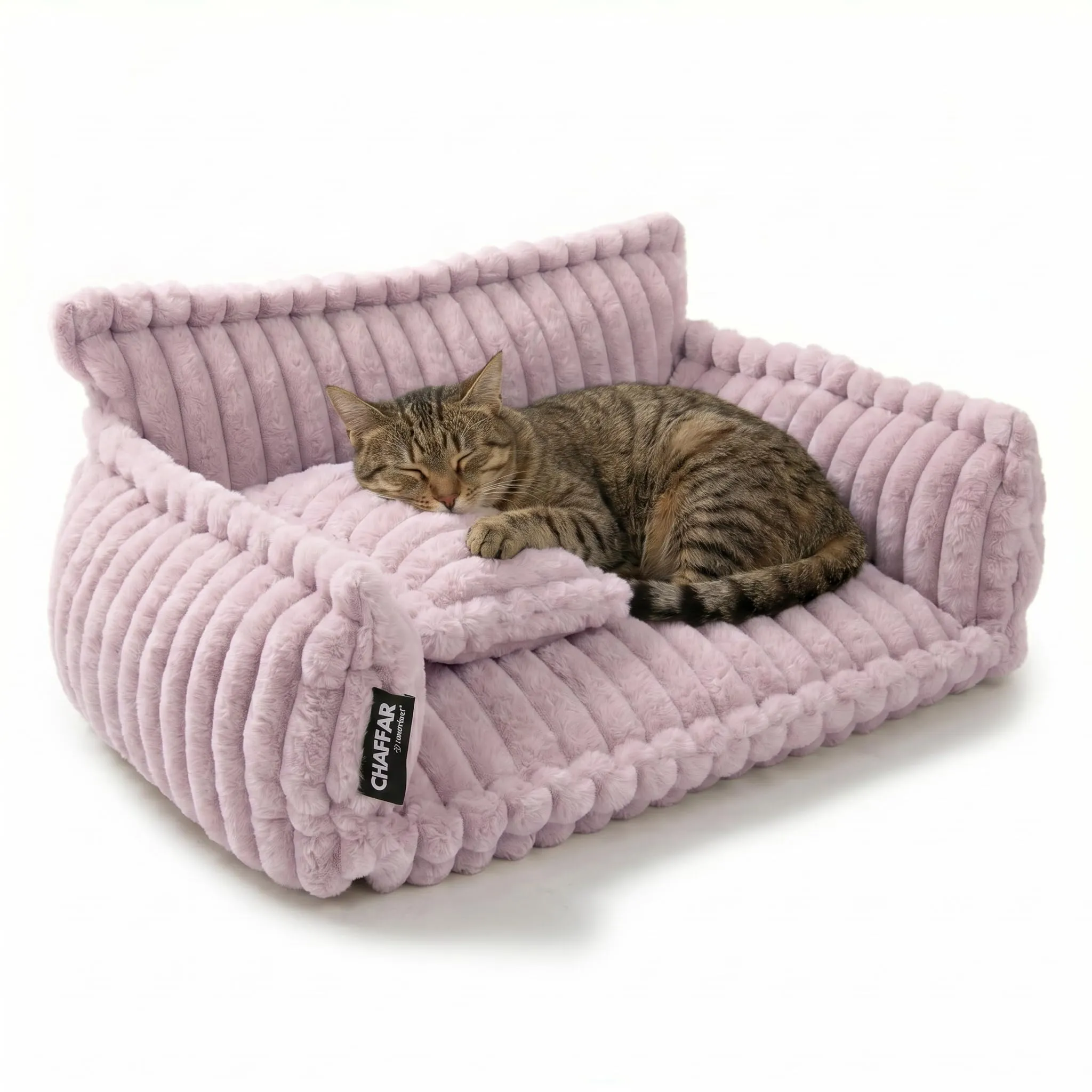 noviclass Chaffar Divano per gatti e cani di piccola taglia | Cuccia ortopedica | Materasso in schiuma | Stile moderno in velluto a coste - immagine 1