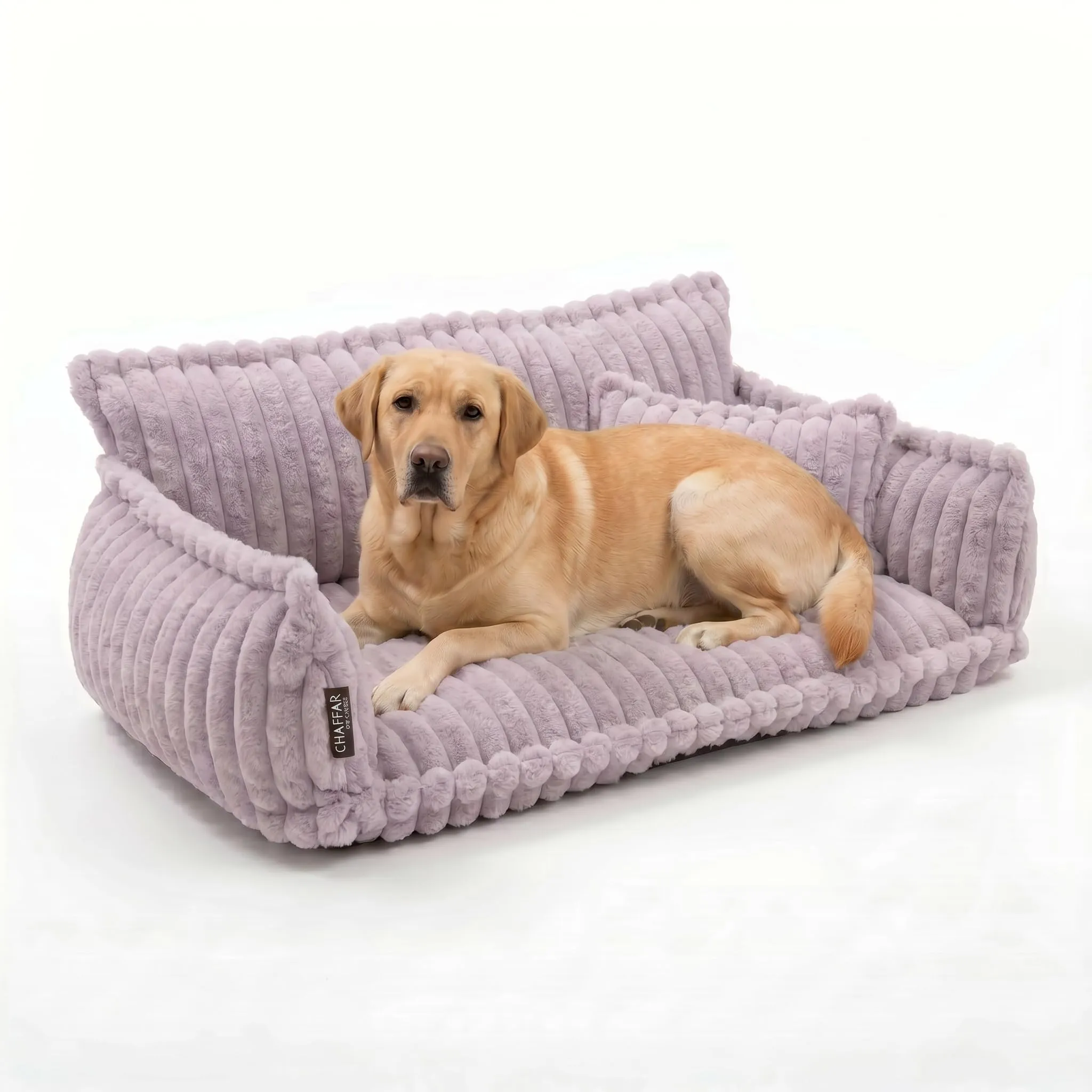 noviclass Divano Chaffar per cani | Cuccia per cani | Materasso ortopedico | Stile moderno | Design in velluto a coste - immagine 1