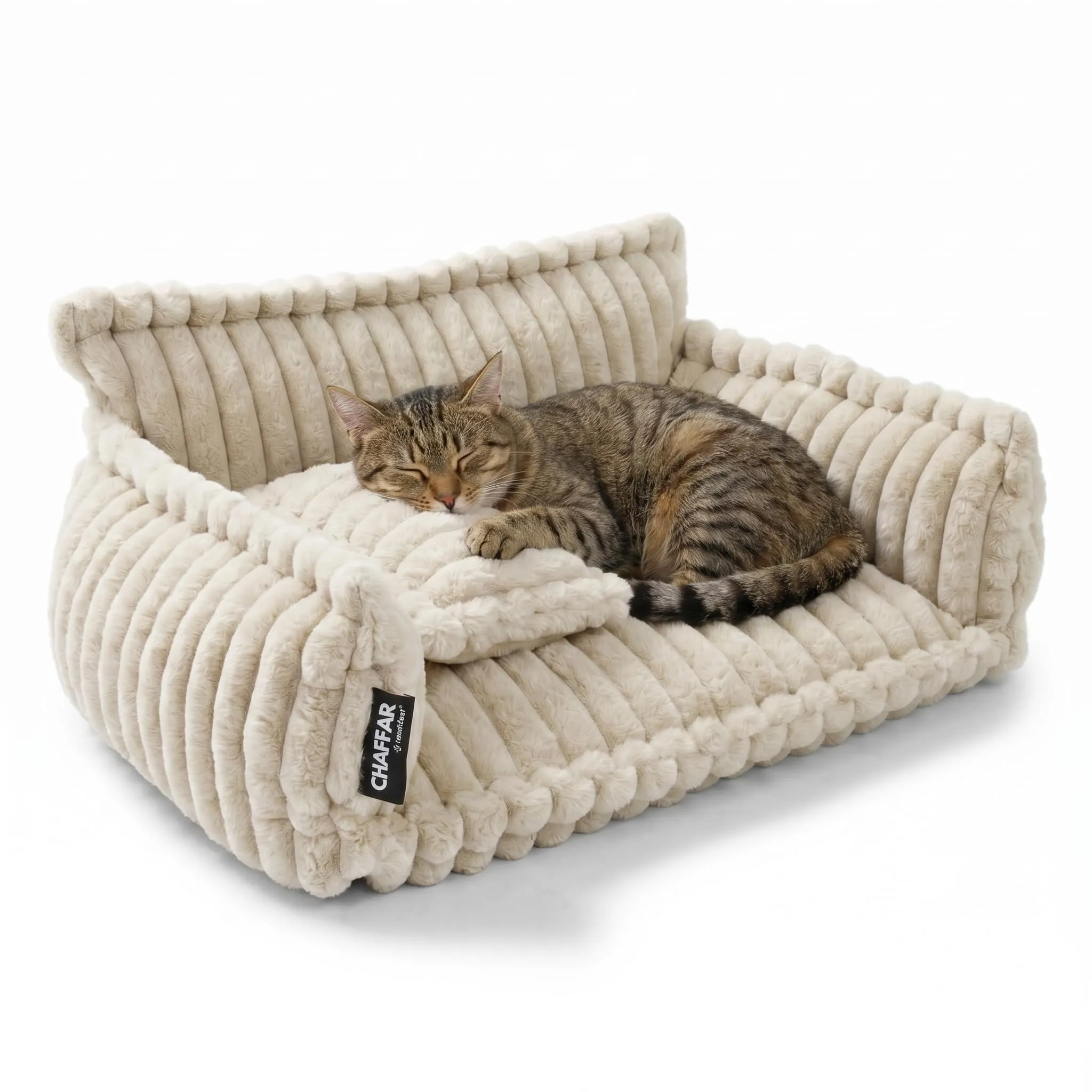 noviclass Chaffar Divano per gatti e cani di piccola taglia | Cuccia ortopedica | Materasso in schiuma | Stile moderno in velluto a coste - immagine 1