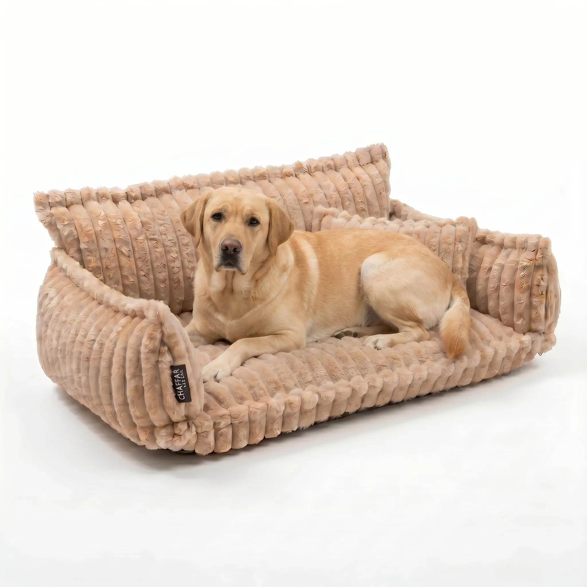 noviclass Divano Chaffar per cani | Cuccia per cani | Materasso ortopedico | Stile moderno | Design in velluto a coste - immagine 1