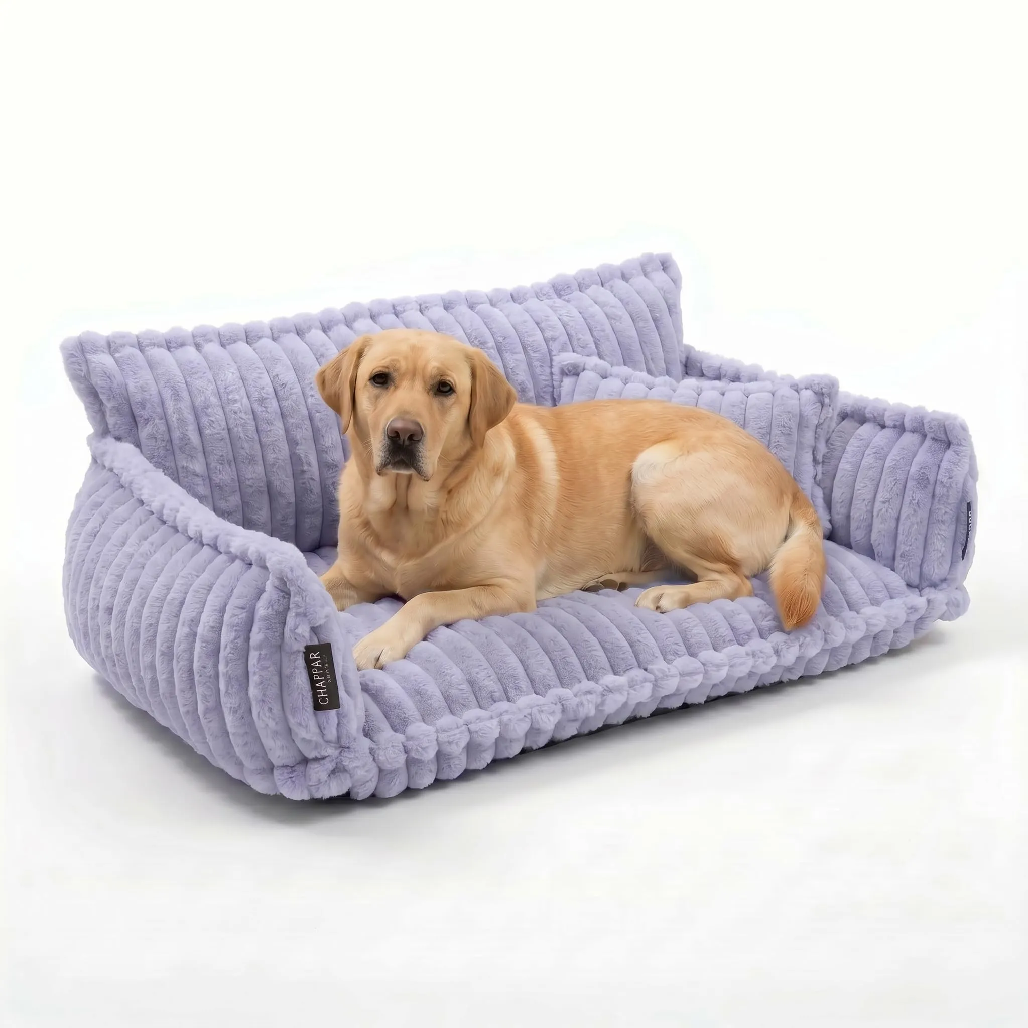 noviclass Divano Chaffar per cani | Cuccia per cani | Materasso ortopedico | Stile moderno | Design in velluto a coste - immagine 1