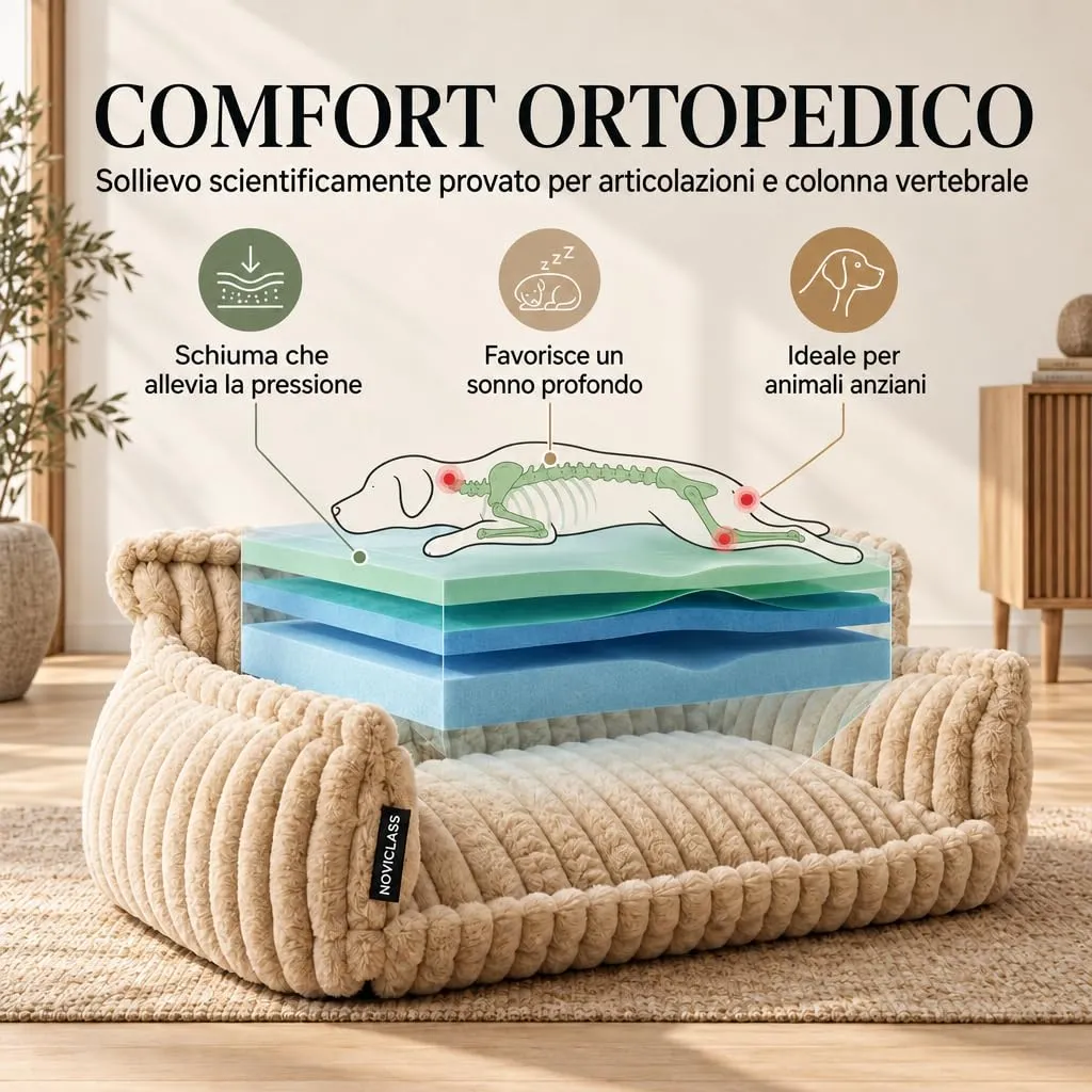 noviclass Divano Chaffar per cani | Cuccia per cani | Materasso ortopedico | Stile moderno | Design in velluto a coste - immagine 3