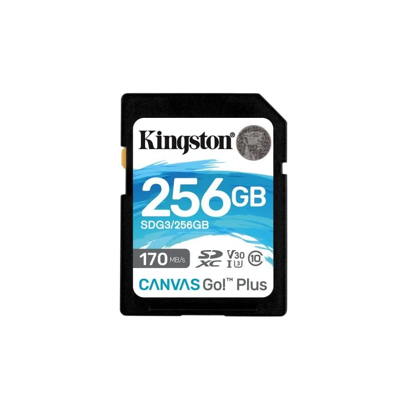 Kingston Canvas Go Plus SDXC 256GB UHS-I U3 V30 Classe 10 - immagine 1