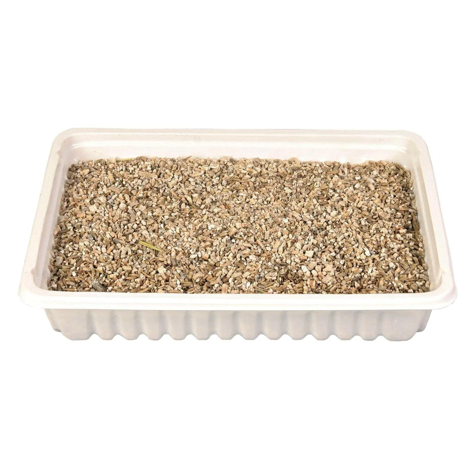Trixie TX 4235 - Cat Grass Bowl, 100gr - immagine 4
