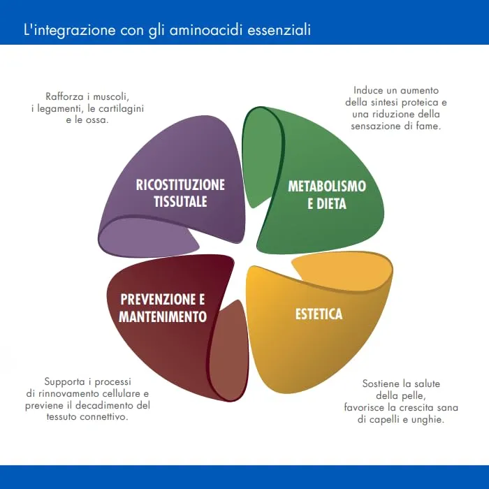 GUNA Gunamino formula 50 Compresse - Integratore Alimentare a Base di Aminoacidi Essenziali - immagine 6