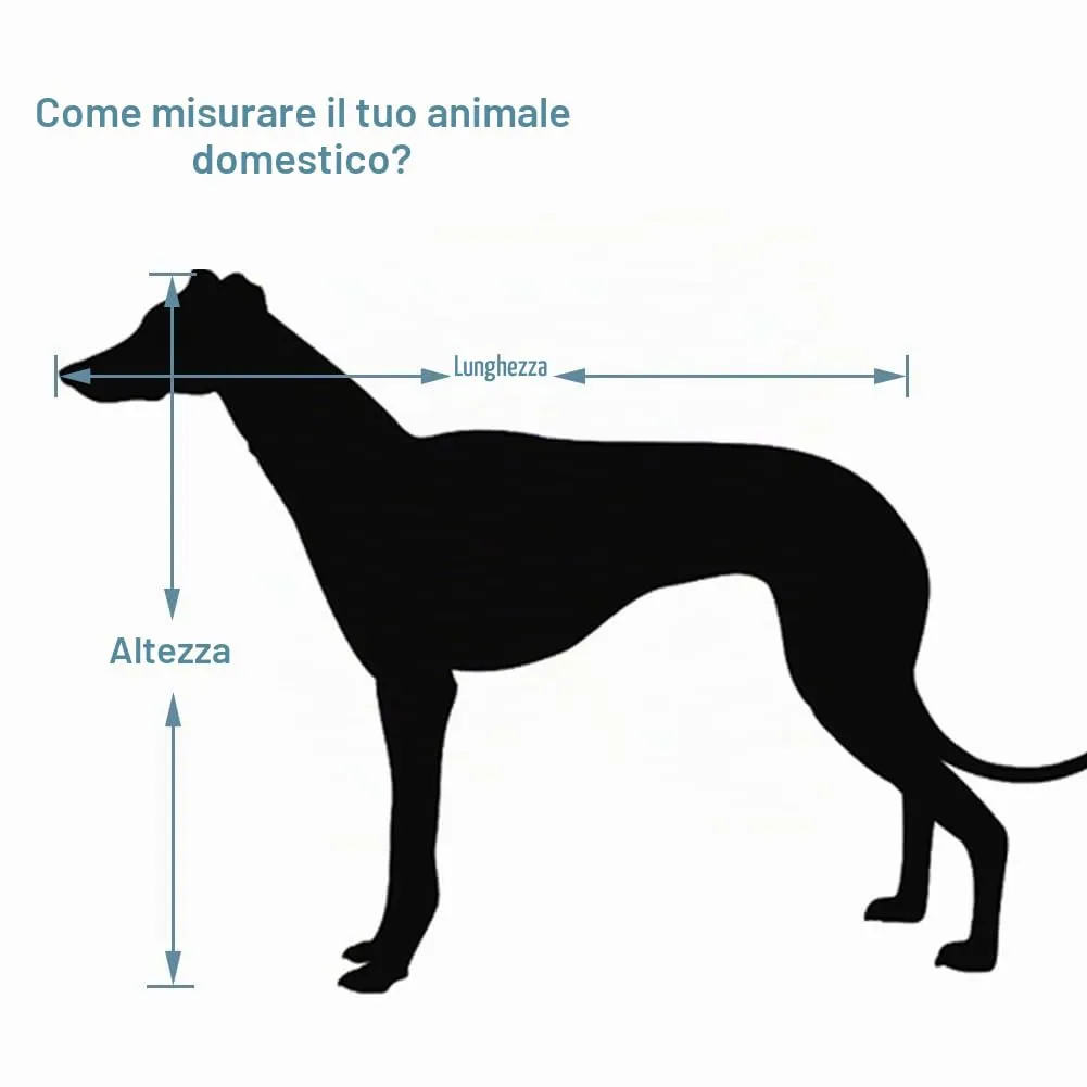 EUGAD Trasportino Cane Auto, Trasportino Cani in Alluminio - immagine 3
