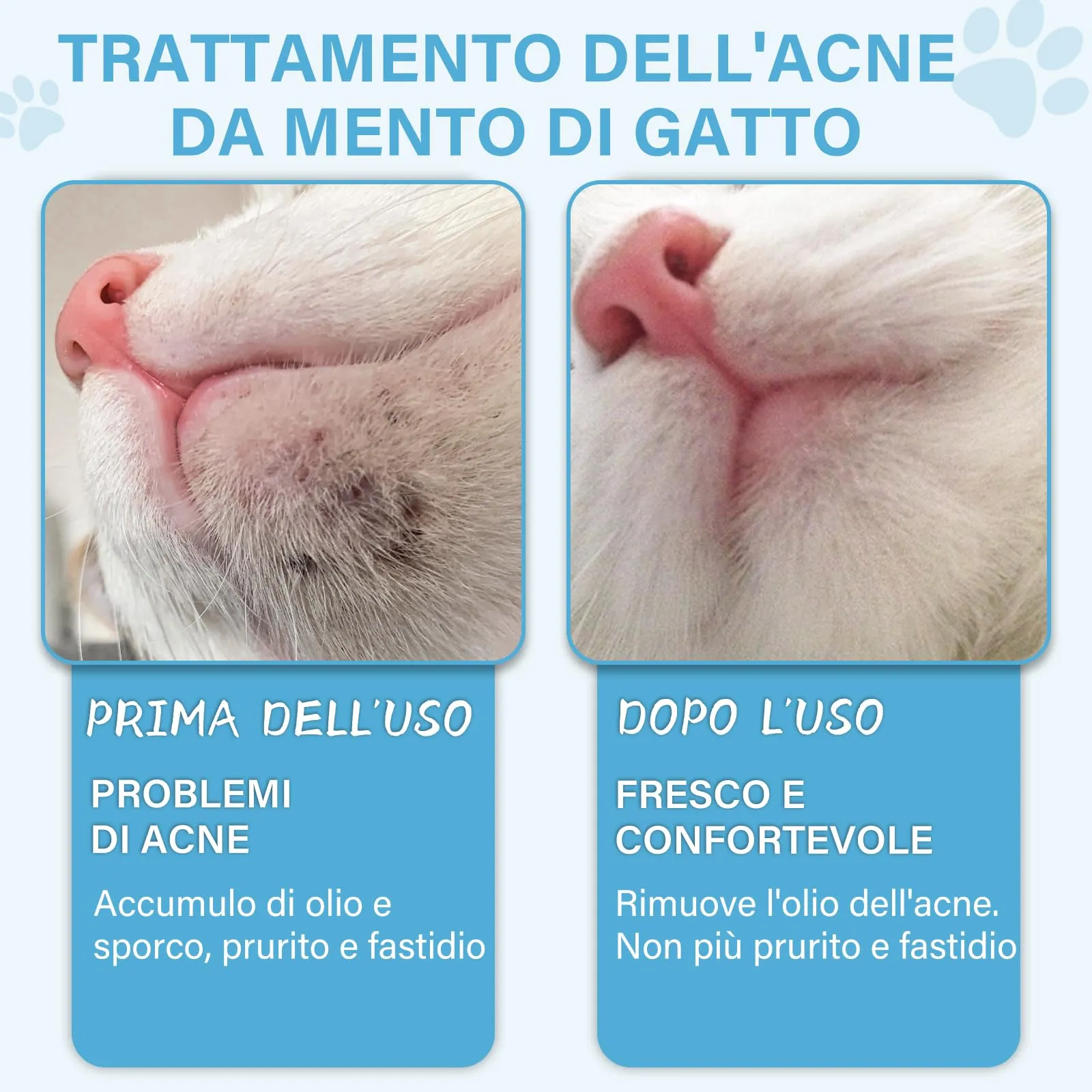 GJYC PET Kit per la Cura dell'Acne del Mento del Gatto - Lozione Detergente per l'Acne del Gatto 30ml con Spazzola per la Pulizia dell'Acne, Rimuove Delicatamente i Punti Neri Causati da Diete Non - immagine 3