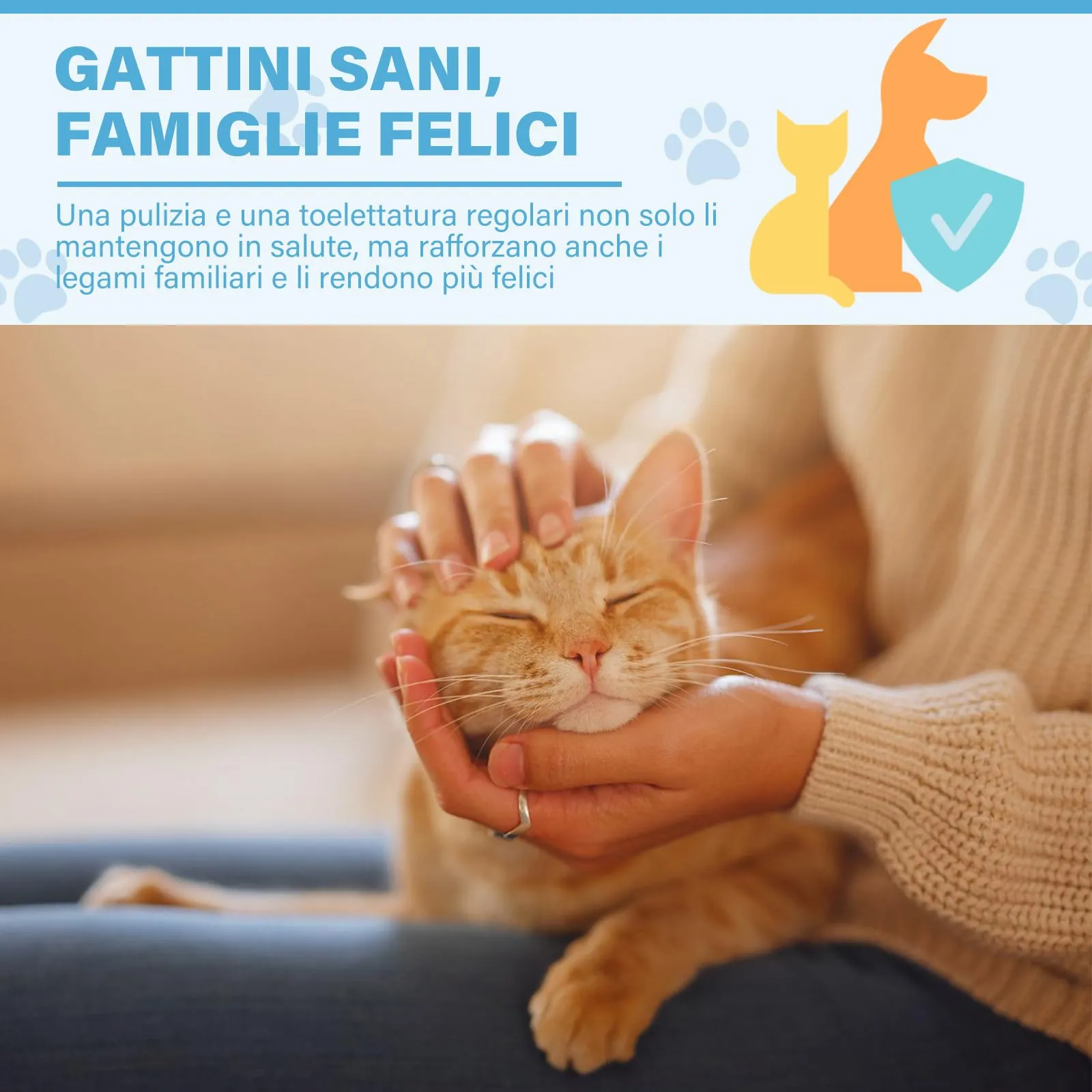 GJYC PET Kit per la Cura dell'Acne del Mento del Gatto - Lozione Detergente per l'Acne del Gatto 30ml con Spazzola per la Pulizia dell'Acne, Rimuove Delicatamente i Punti Neri Causati da Diete Non - immagine 6