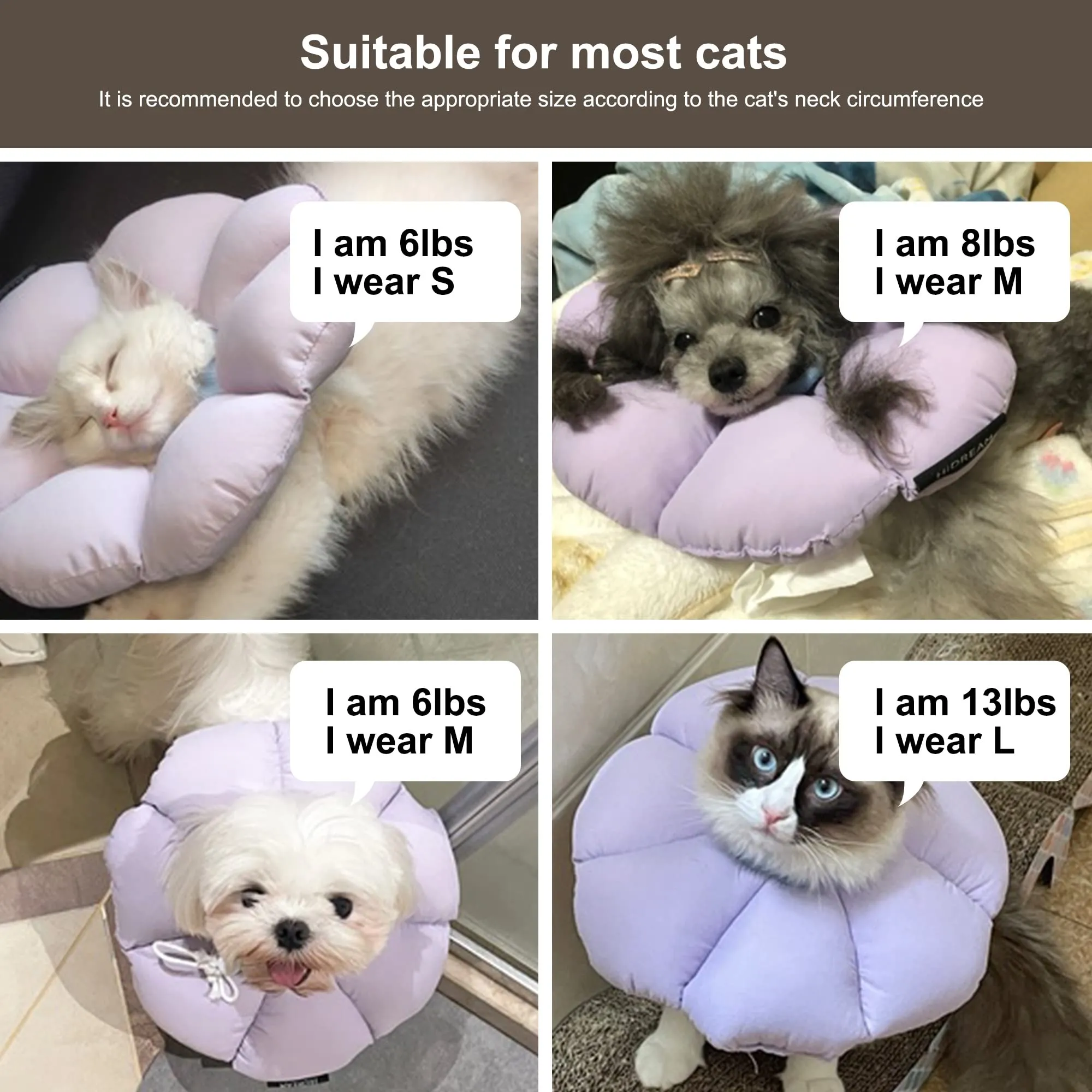 Collare Elisabettiano GattoCollare, Morbido per Gatti,Collare Recupero Regolabile Impermeabile, Stile Fiore Viola Tutte le Stagioni (Taglia M) - immagine 6