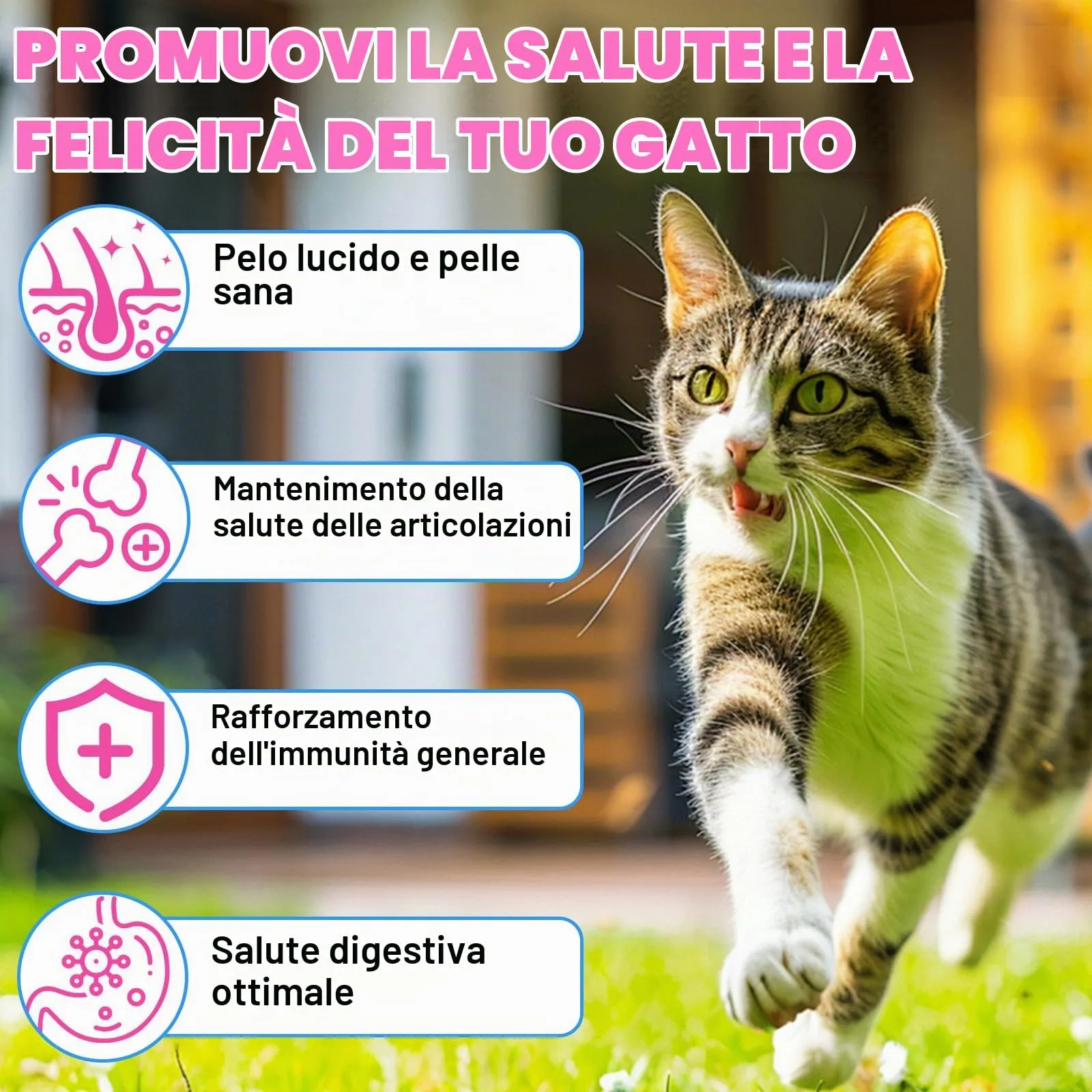Collagene per gatti, integratore di collagene per pelle e pelliccia, sollievo dal prurito, gocce di collagene quotidiane, supporta le articolazioni e il sistema digestivo, 60 ml - immagine 3