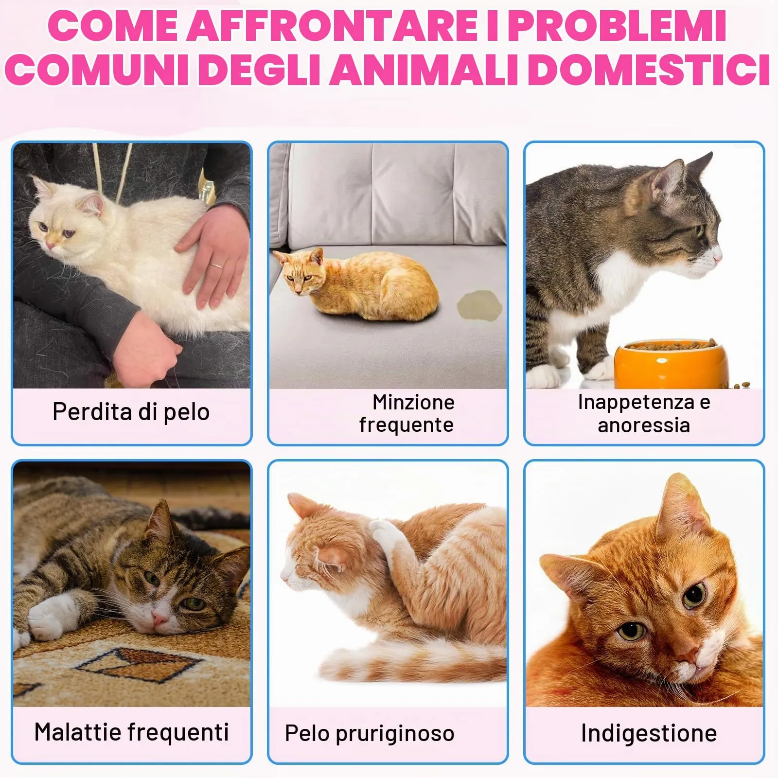 Collagene per gatti, integratore di collagene per pelle e pelliccia, sollievo dal prurito, gocce di collagene quotidiane, supporta le articolazioni e il sistema digestivo, 60 ml - immagine 4