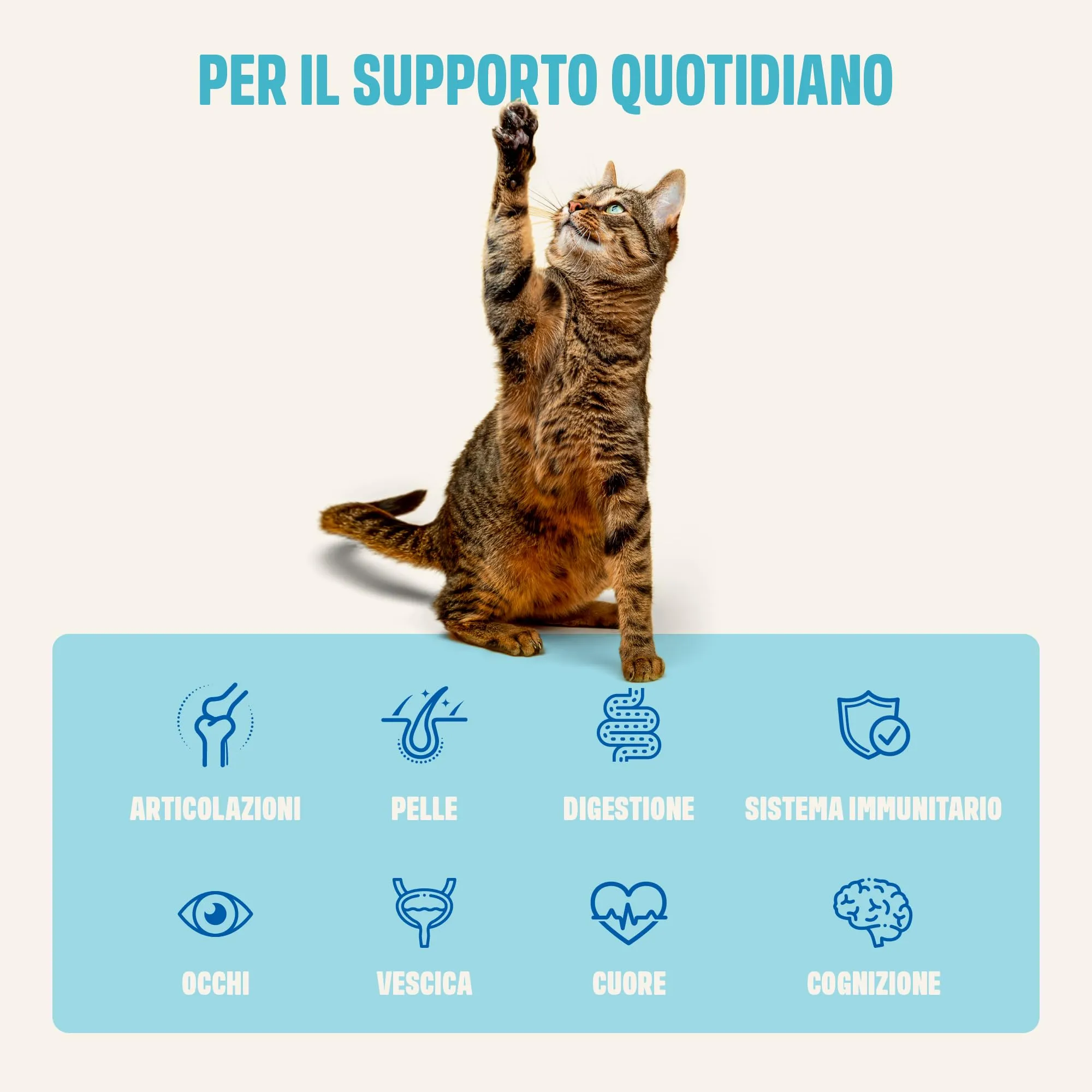 ivvi Essenza Multivitaminica per Gatti – snack cremoso con vero tonno – con vitamine del gruppo B, vitamine A, D3 ed E, biotina, L-lisina, magnesio e cozza verde – 30 x 15 g - immagine 3
