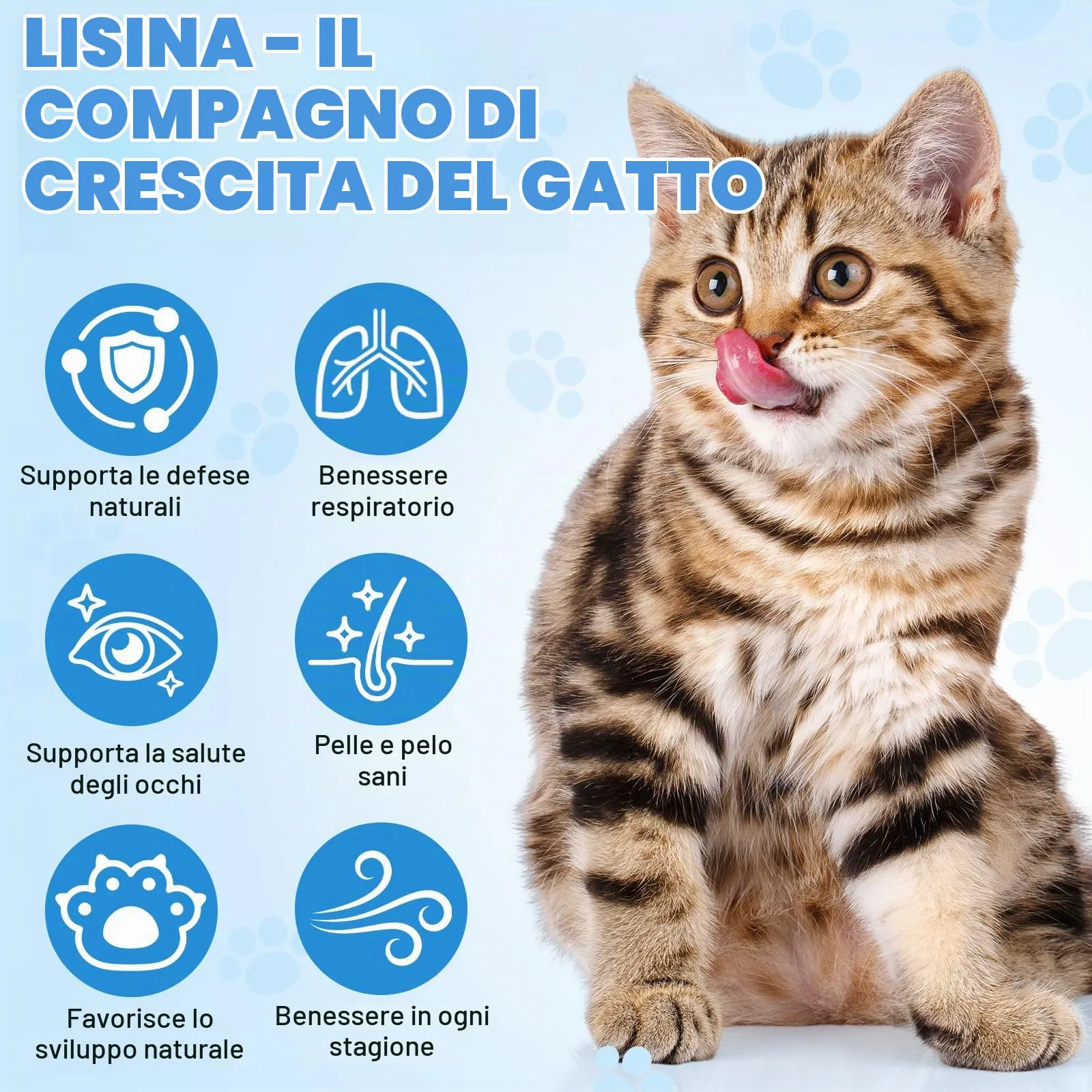 Gocce di L-Lisina per Gatti 60 ml – Supporto Naturale per la Salute degli Occhi e delle Vie Respiratorie | Gusto Pollo | Senza Cereali e Senza Glutine | Con Estratti di Erbe e Vitamine | Contro il - immagine 4