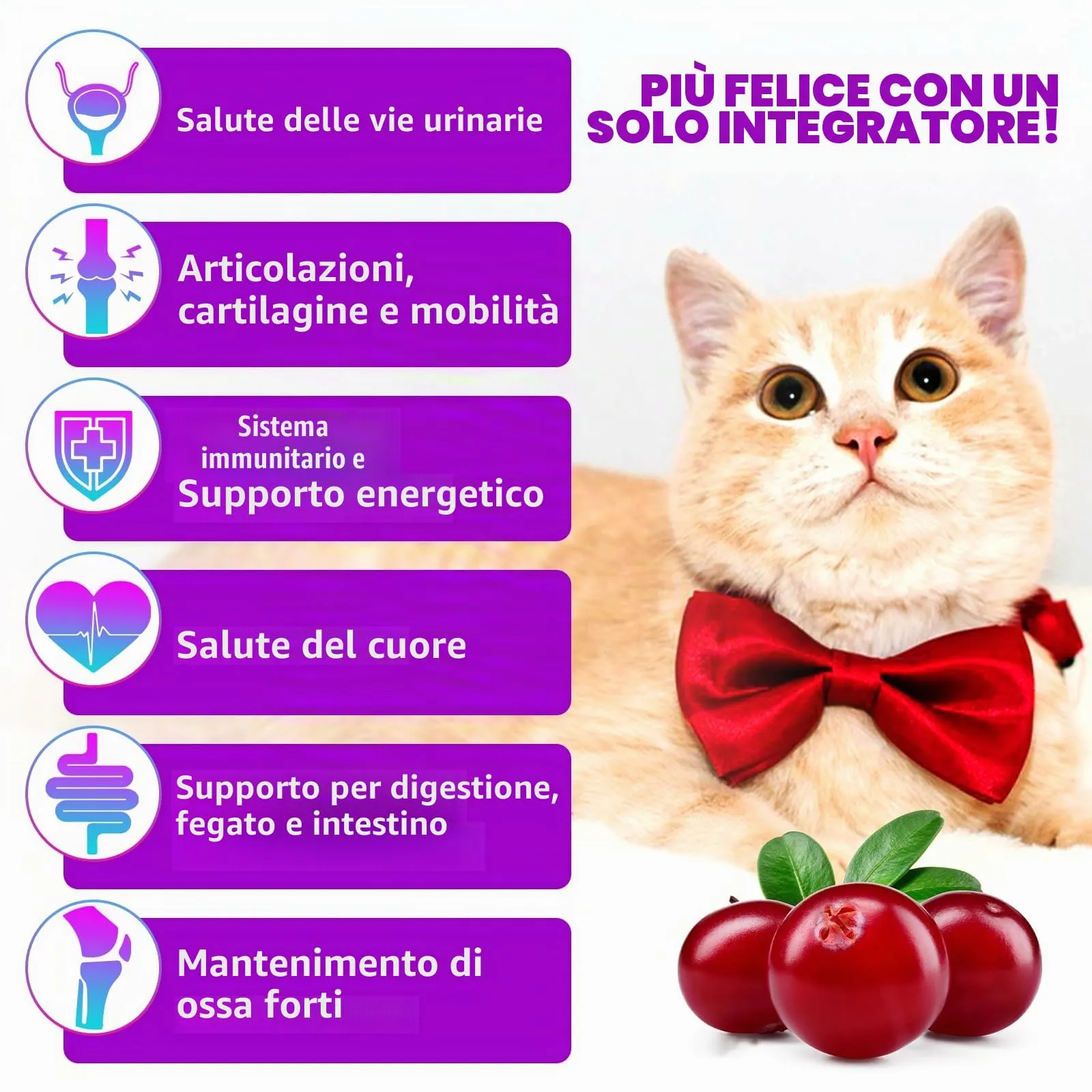 Gocce multivitaminiche 15 in 1 per gatti 2x60ml, vitamine e integratori per gatti con glucosamina e mirtillo rosso - Supporta la salute del sistema immunitario, della pelle, del pelo e del cuore - immagine 4