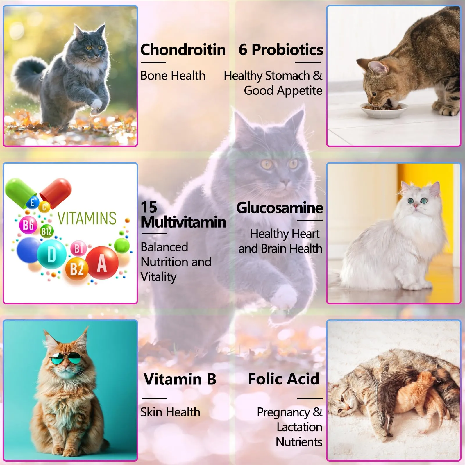 Gocce multivitaminiche 15 in 1 per gatti 2x60ml, vitamine e integratori per gatti con glucosamina e mirtillo rosso - Supporta la salute del sistema immunitario, della pelle, del pelo e del cuore - immagine 6