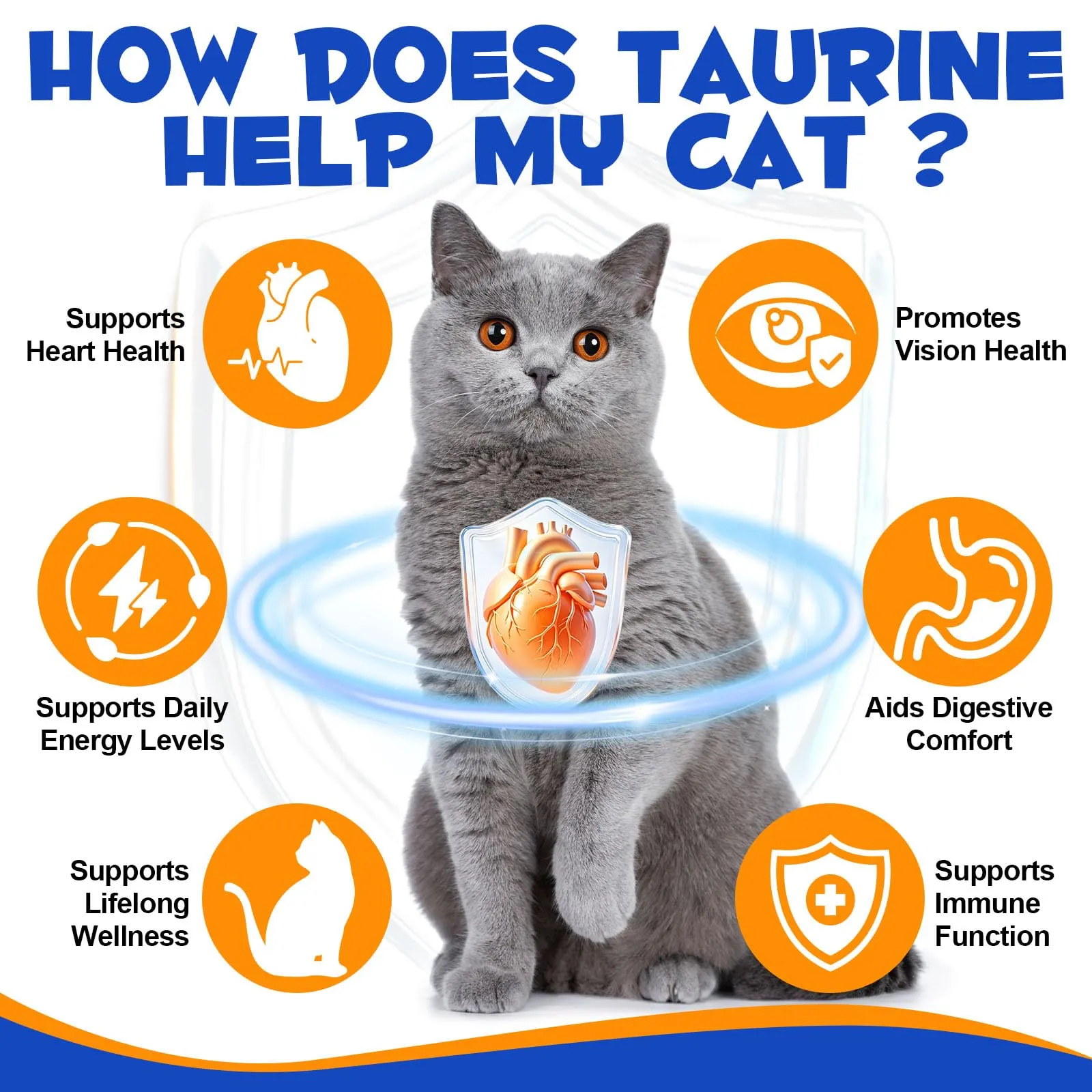 Taurin Gatto | Integratore alimentare ad alta purezza (99%) per cuore e vista | Taurina in polvere per gatti per gatti, adulti e anziani – Ideale per cibo da barba, umido e secco – tutte le fasi della - immagine 3