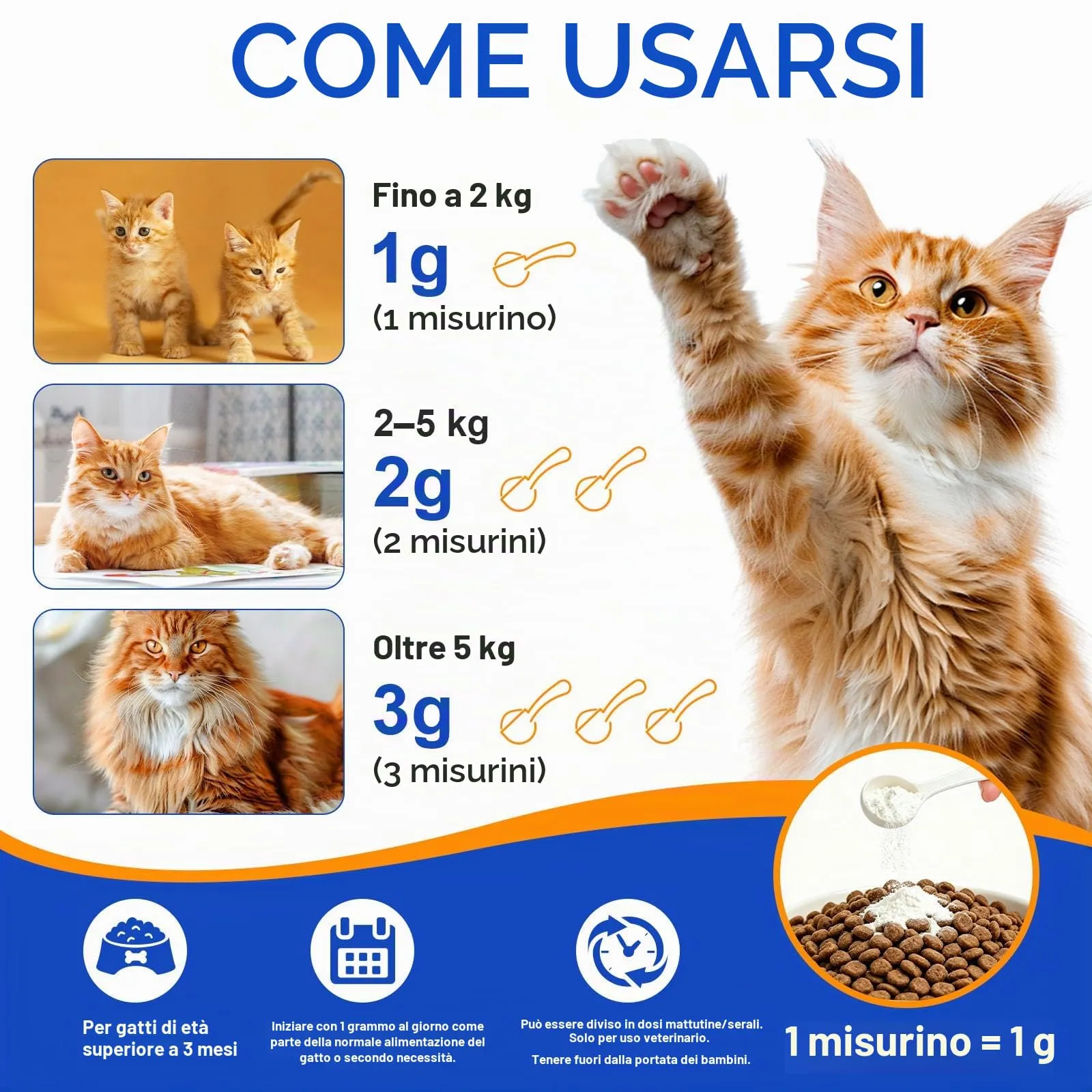 Taurin Gatto | Integratore alimentare ad alta purezza (99%) per cuore e vista | Taurina in polvere per gatti per gatti, adulti e anziani – Ideale per cibo da barba, umido e secco – tutte le fasi della - immagine 9