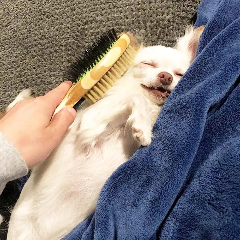 Spazzole per cani,Spazzole per gatti,Doppia Spazzola per Cani 2 in 1 con Punte Arrotondate per Pelo Corto o Lungo, Rimuove Peli Superflui e Sbroglia Nodi, Peli Medi E Lunghi - immagine 7