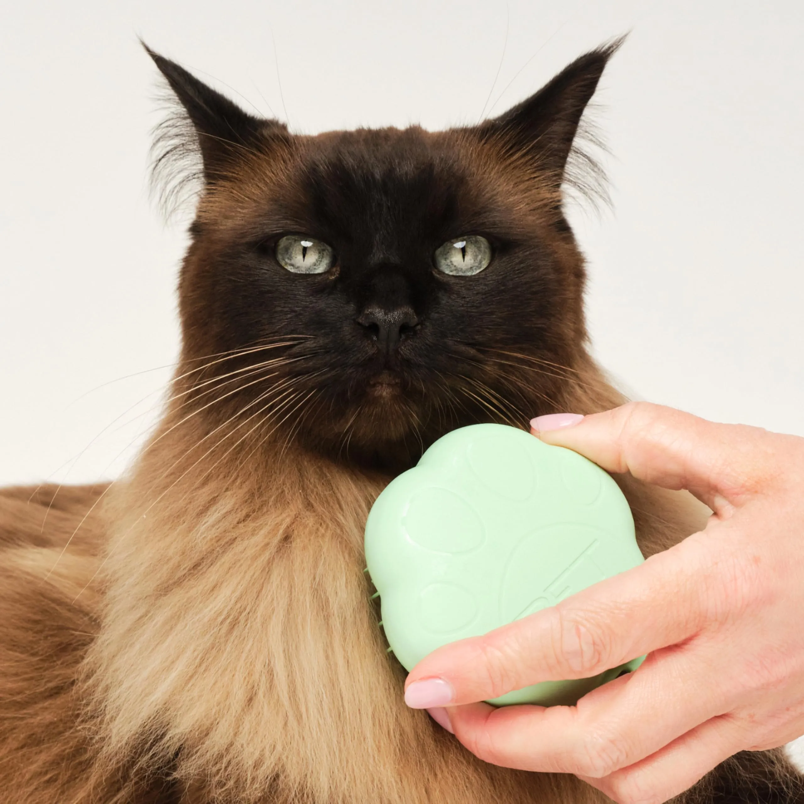 Tangle Teezer Pet Teezer Cat Brush - Animali Domestici Spazzola Gatto e Gattini - pettine cattura togli peli gatti - a doppio livello per pelo corto e medio - Dona morbidezza e lucentezza - Verde - immagine 5