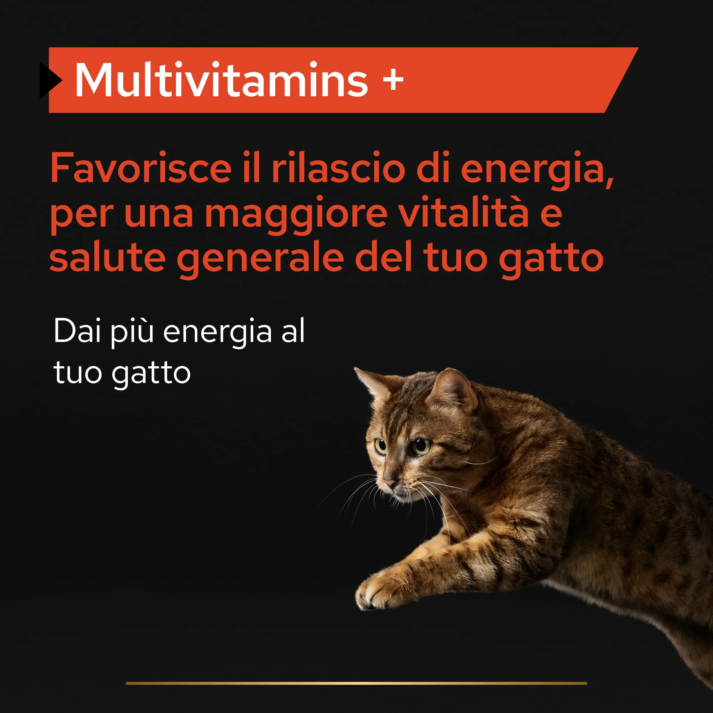 PURINA PRO PLAN Multivitamins + Supplement per Gatti Adulti in Polvere con Complesso Vitaminico B 4 Confezioni da 60g - immagine 2