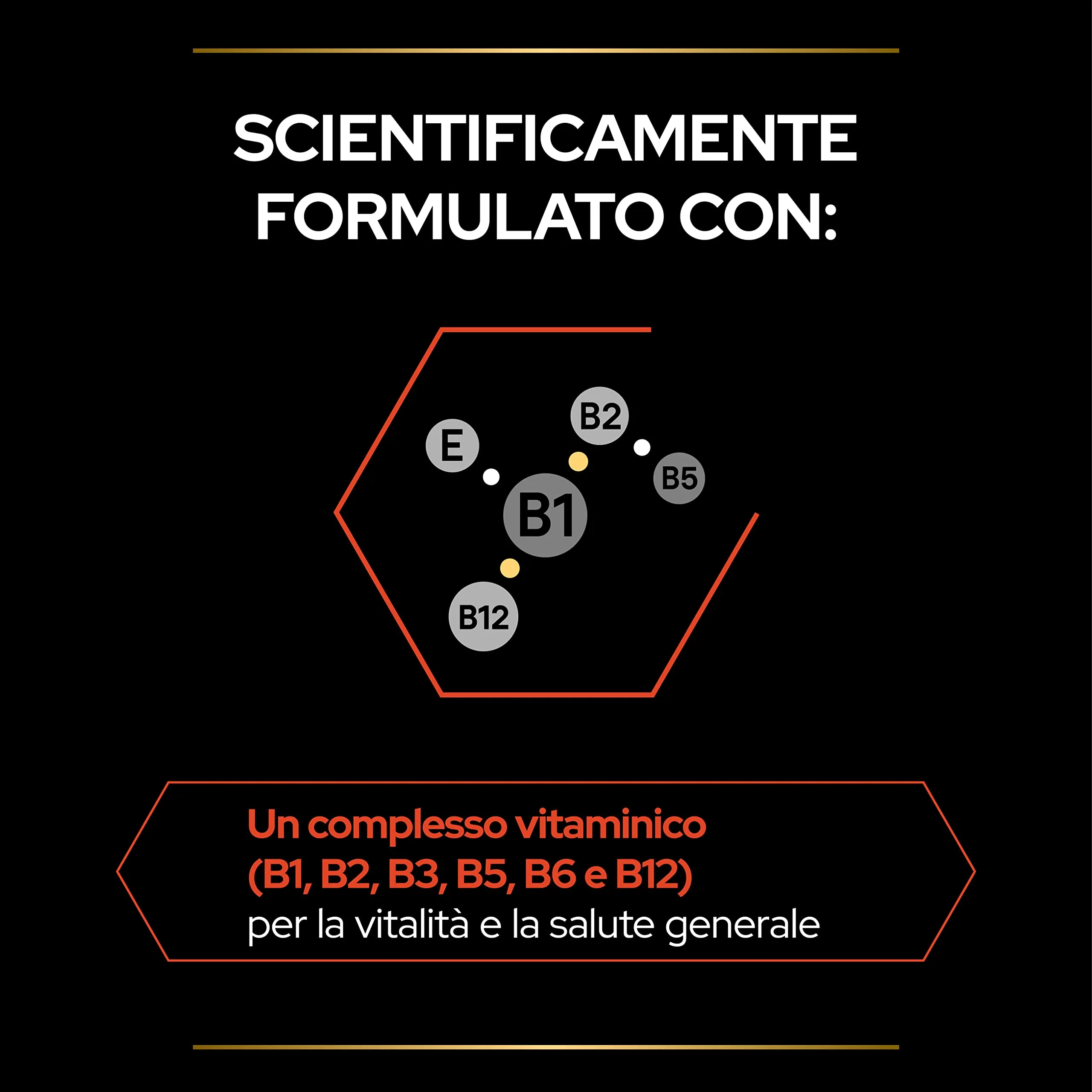 PURINA PRO PLAN Multivitamins + Supplement per Gatti Adulti in Polvere con Complesso Vitaminico B 4 Confezioni da 60g - immagine 3