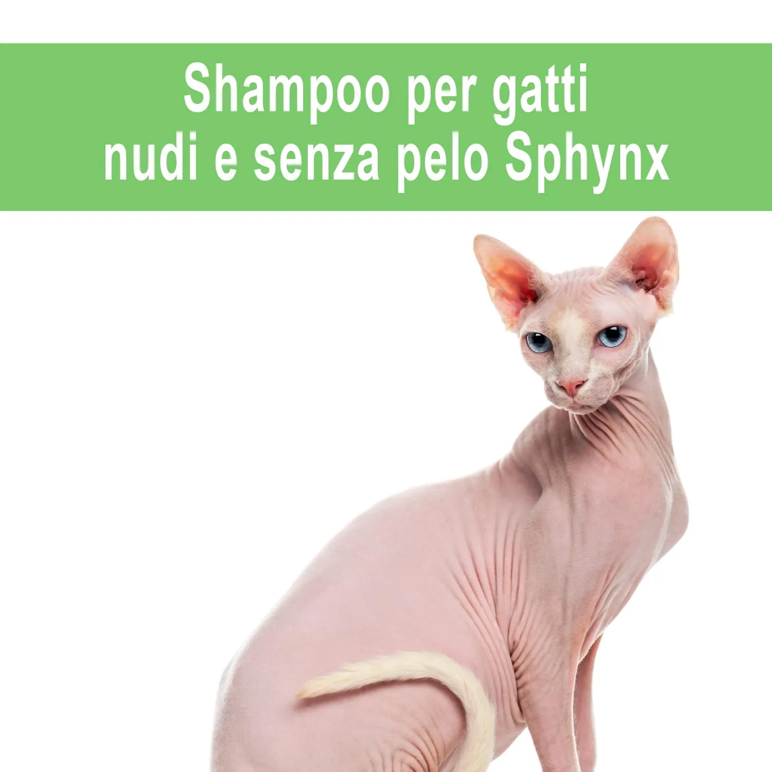 PUIS Shampoo Gatto Senza Pelo Profumato Camomilla Ipoallergenico - 220ml - immagine 2
