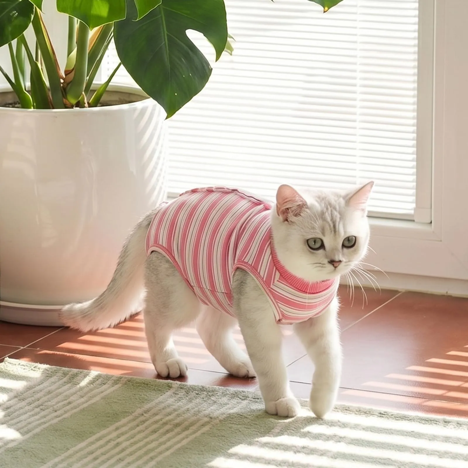 CITÉTOILE Body Gatto Postoperatorio Tuta di Recupero Antilamido Rosa XS - immagine 7