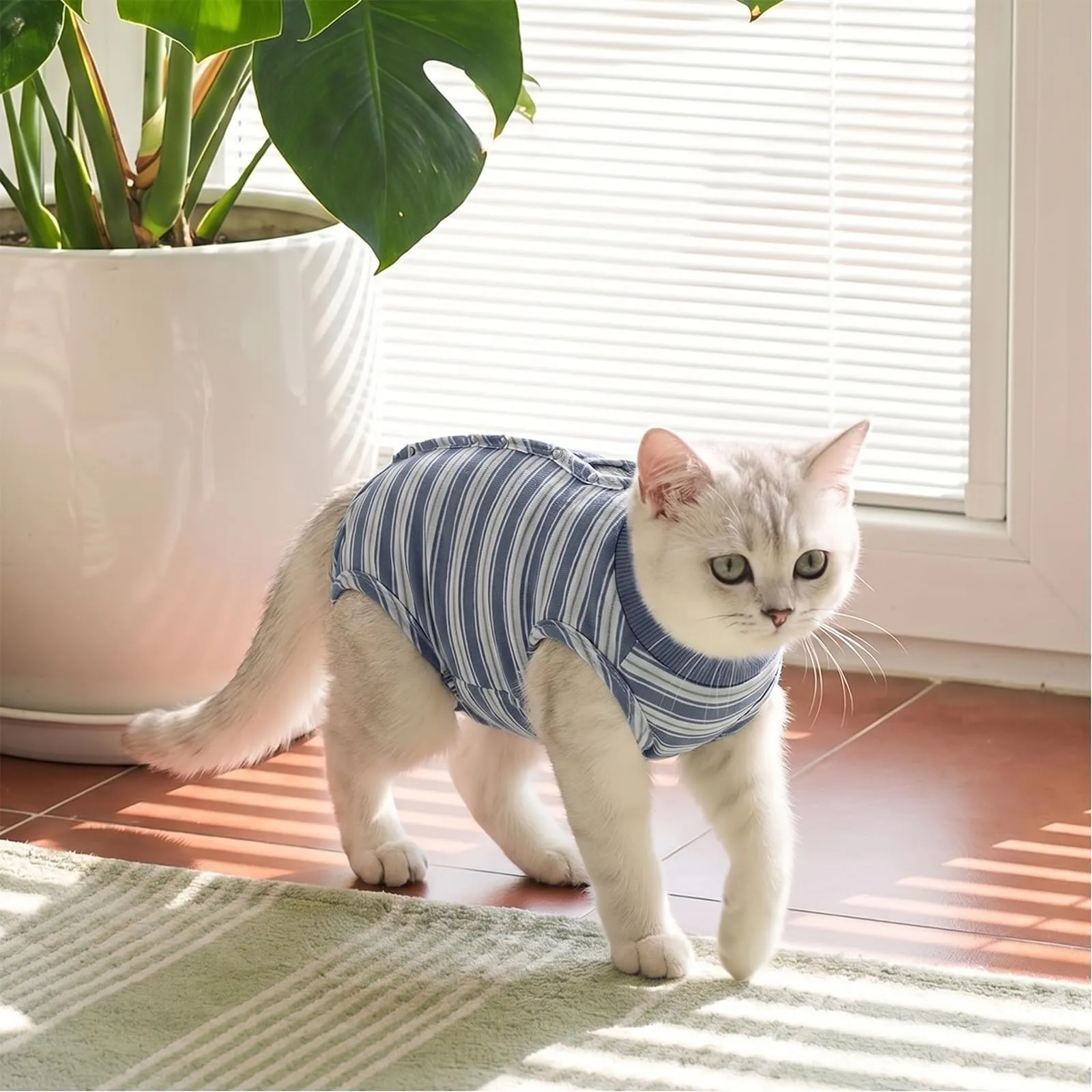 CITÉTOILE Body Gatto Postoperatorio Tuta di Recupero Antilamido Blu M - immagine 7