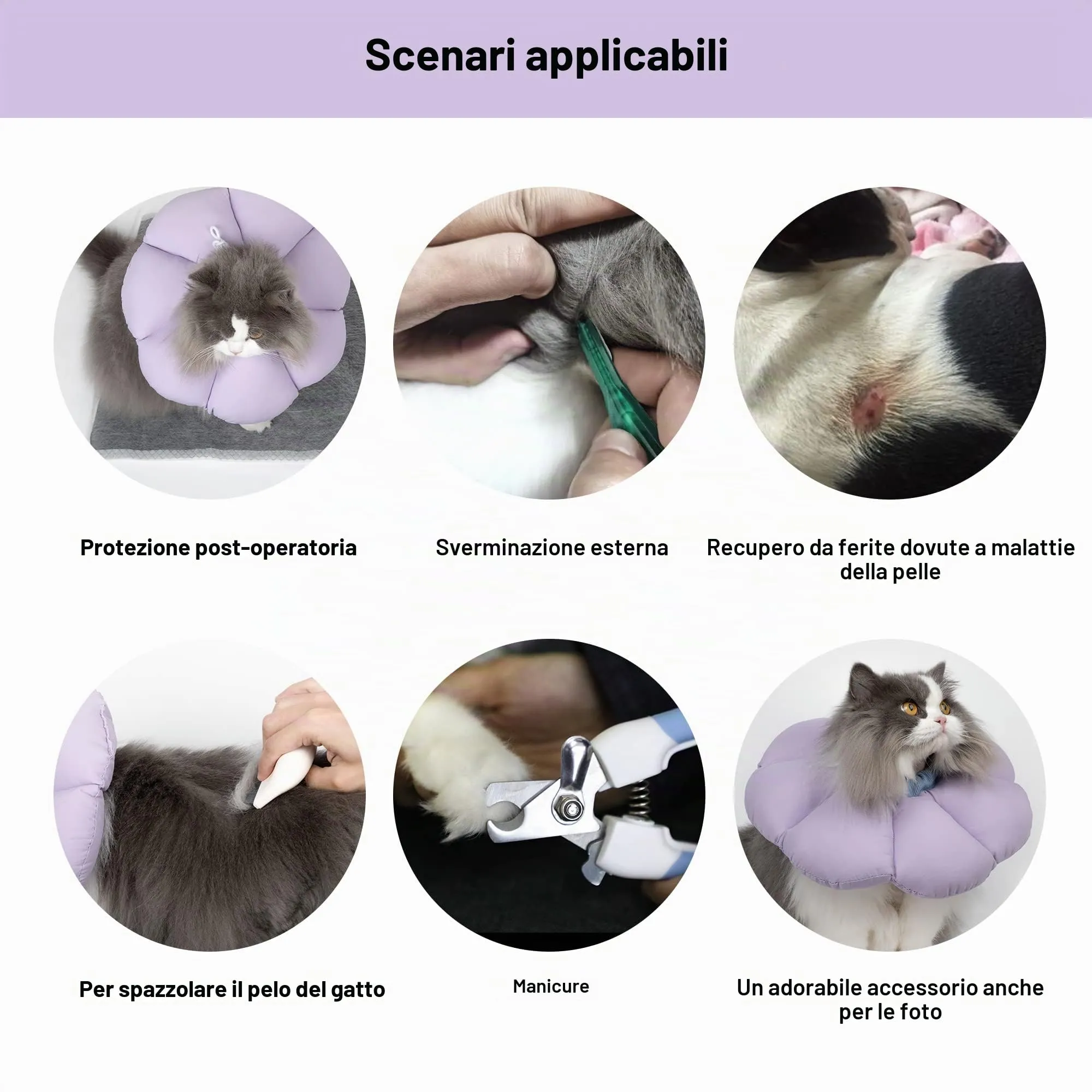 Collare Elisabettiano GattoCollare, Morbido per Gatti,Collare Recupero Regolabile Impermeabile, Stile Fiore Viola Tutte le Stagioni (Taglia S) - immagine 4