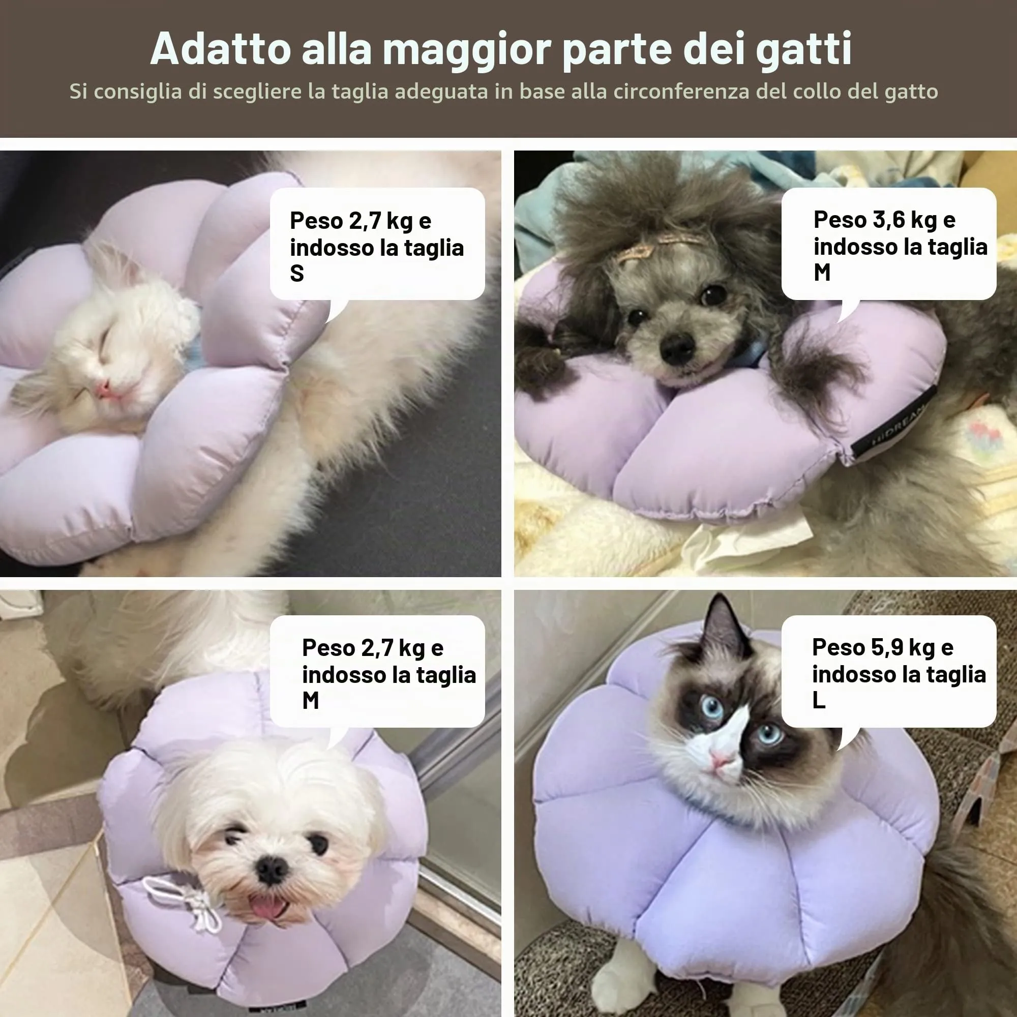 Collare Elisabettiano GattoCollare, Morbido per Gatti,Collare Recupero Regolabile Impermeabile, Stile Fiore Viola Tutte le Stagioni (Taglia L) - immagine 6