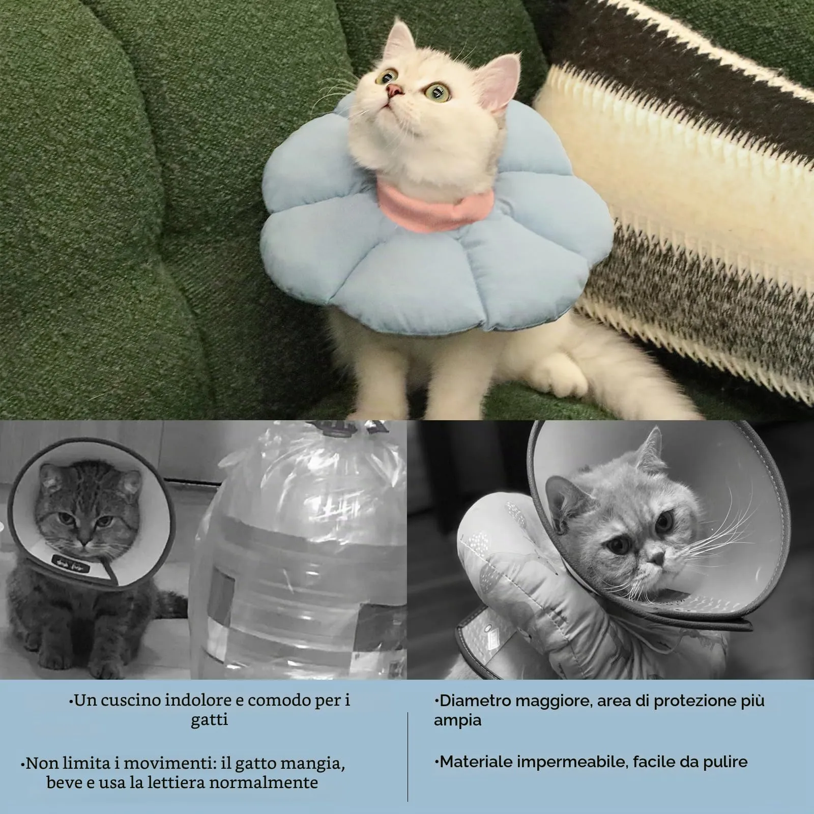 Collare Elisabettiano GattoCollare,Morbido per Gatti,Collare Recupero Regolabile Impermeabile, Stile Fiore Tutte le Stagioni (Blu S) - immagine 6