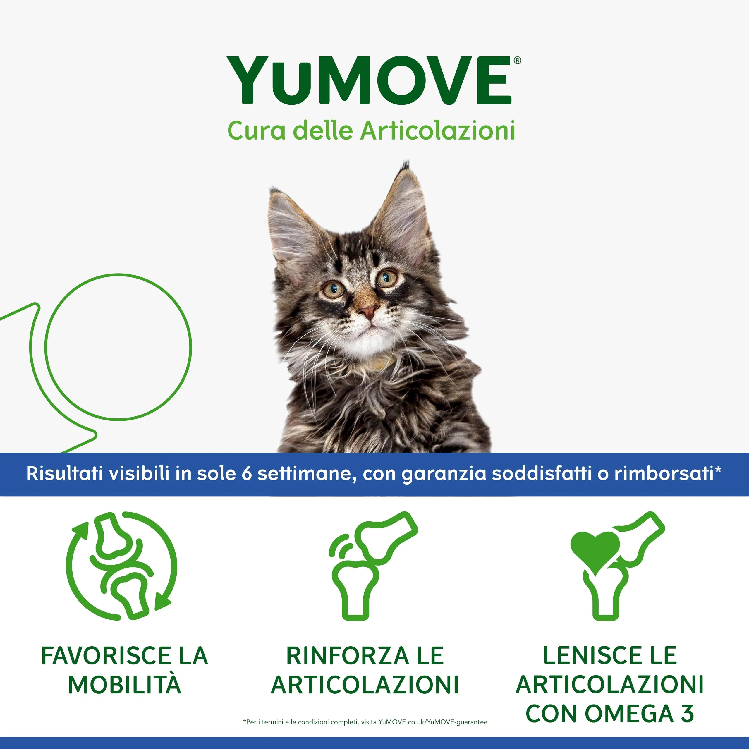 Yumove Integratore Articolazioni Gatti Senior 8+ – 60 Capsule ActivEase - immagine 4