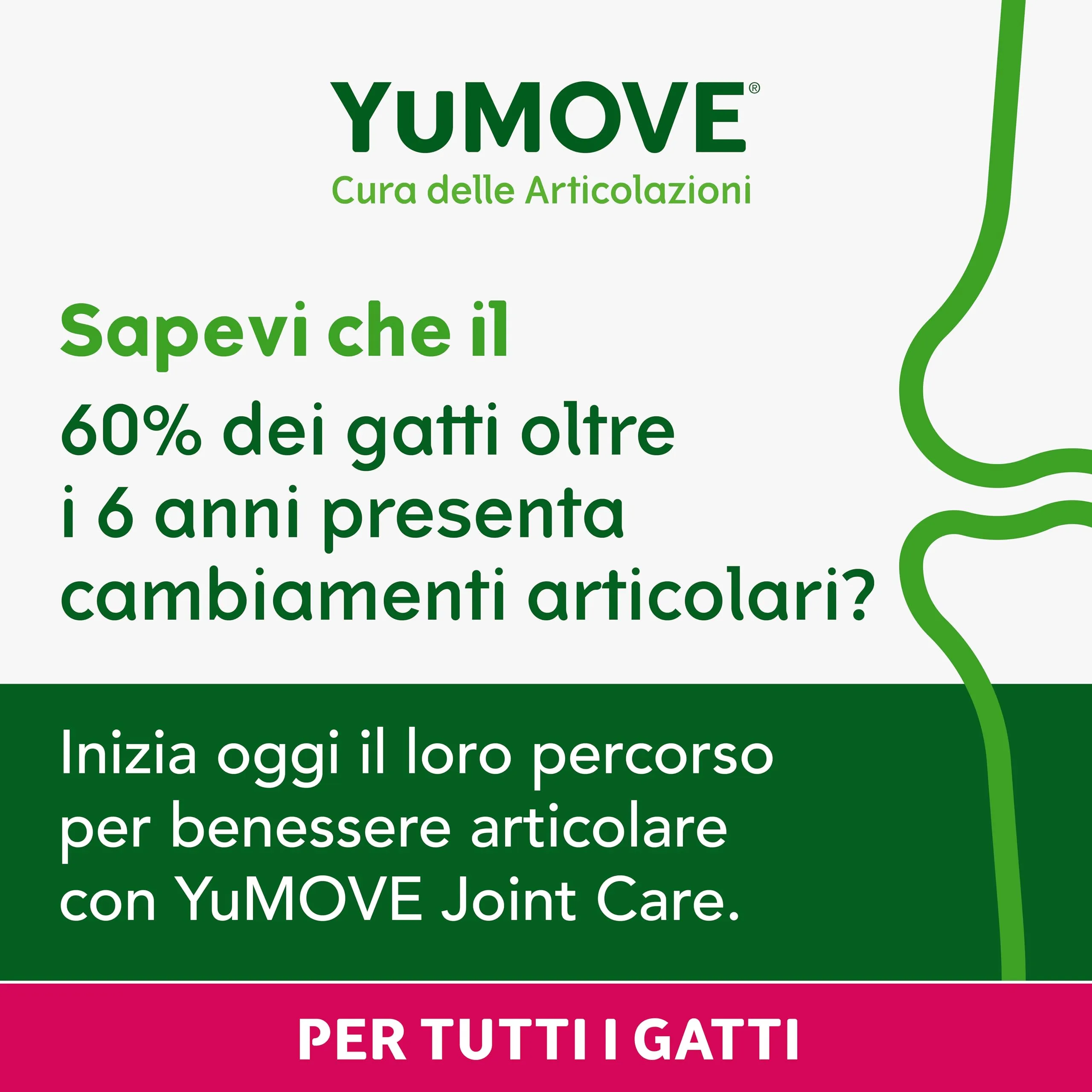 Yumove Integratore Quotidiano Articolazioni Gatti – 60 Capsule ActivEase - immagine 3