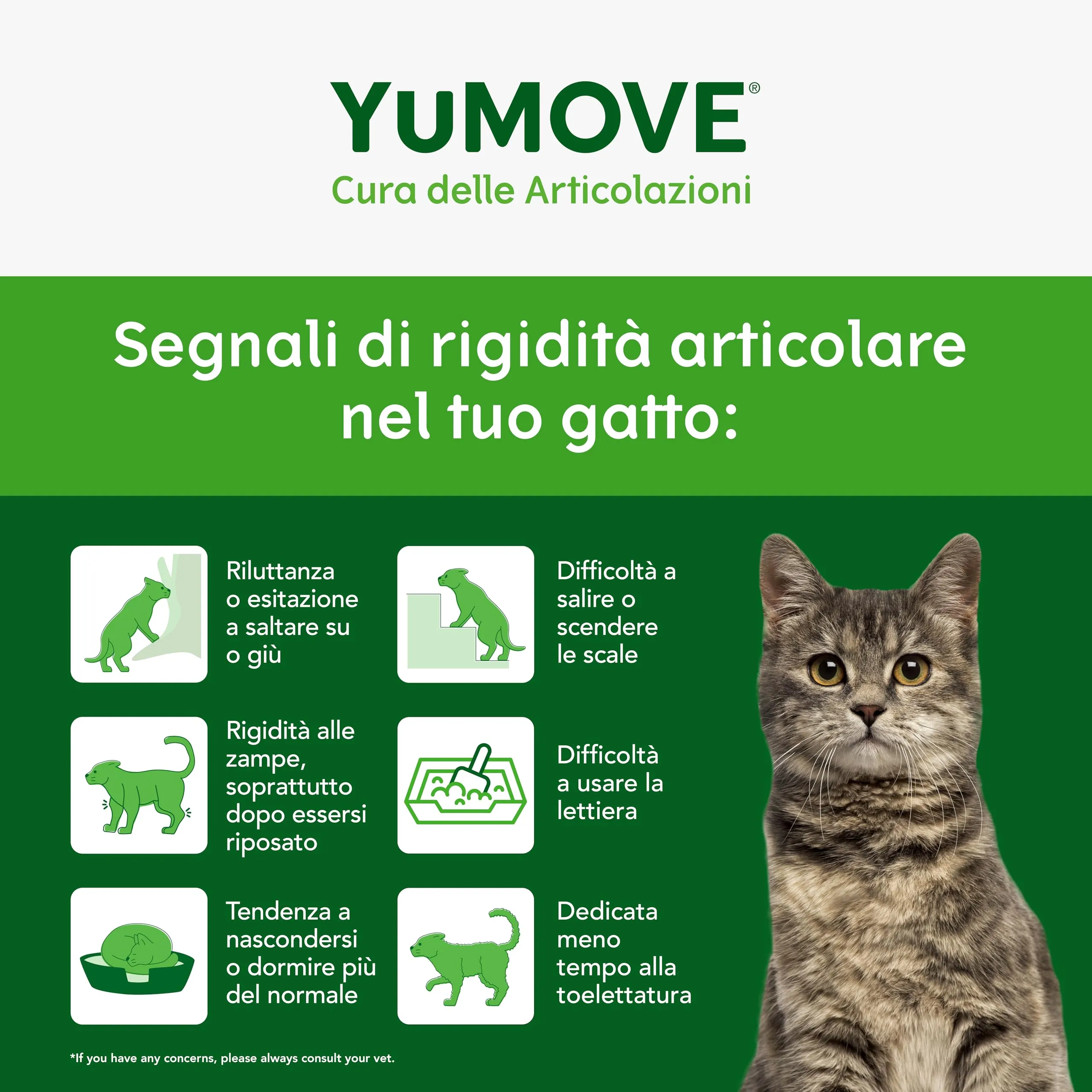 Yumove Integratore Quotidiano Articolazioni Gatti – 60 Capsule ActivEase - immagine 4
