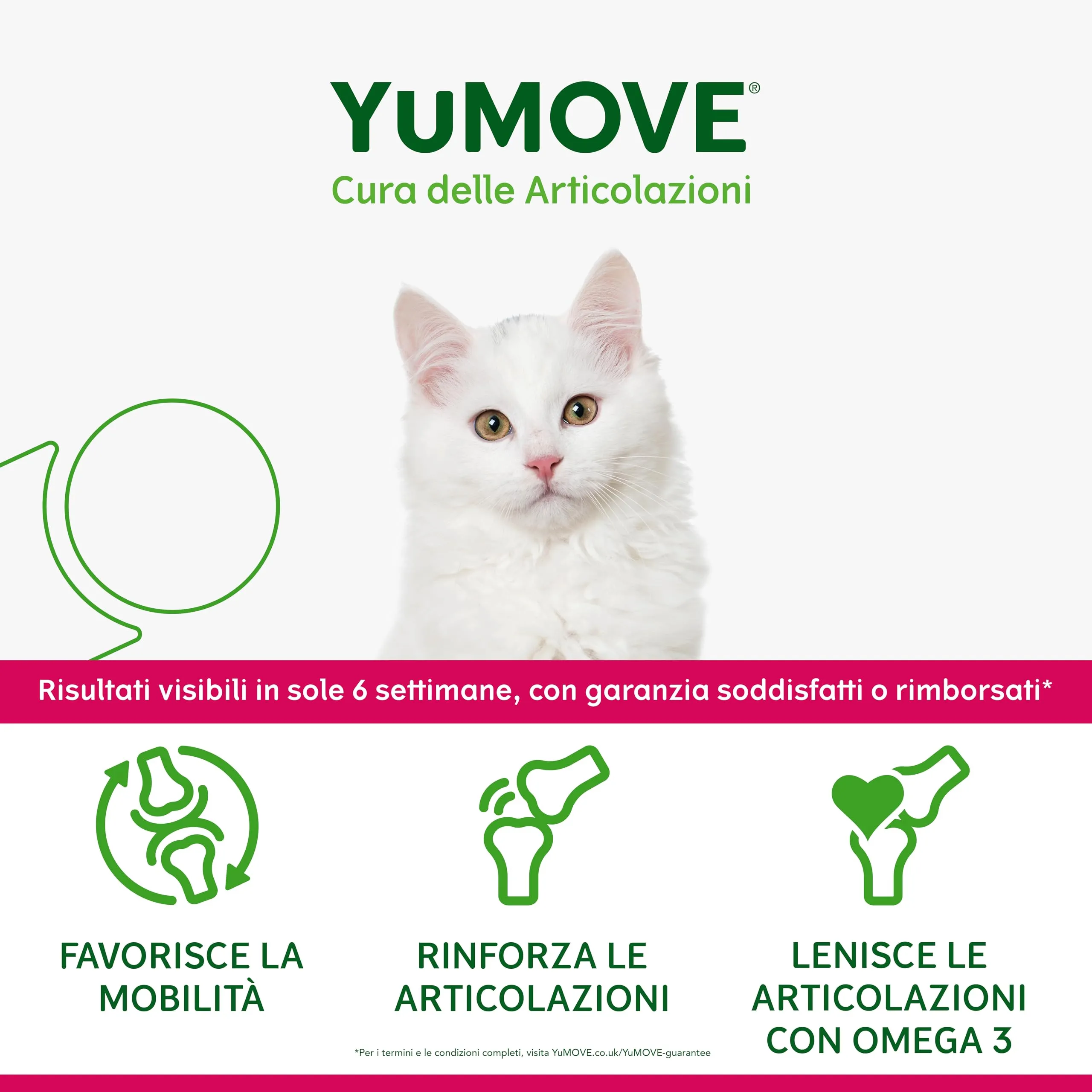Yumove Integratore Quotidiano Articolazioni Gatti – 60 Capsule ActivEase - immagine 5
