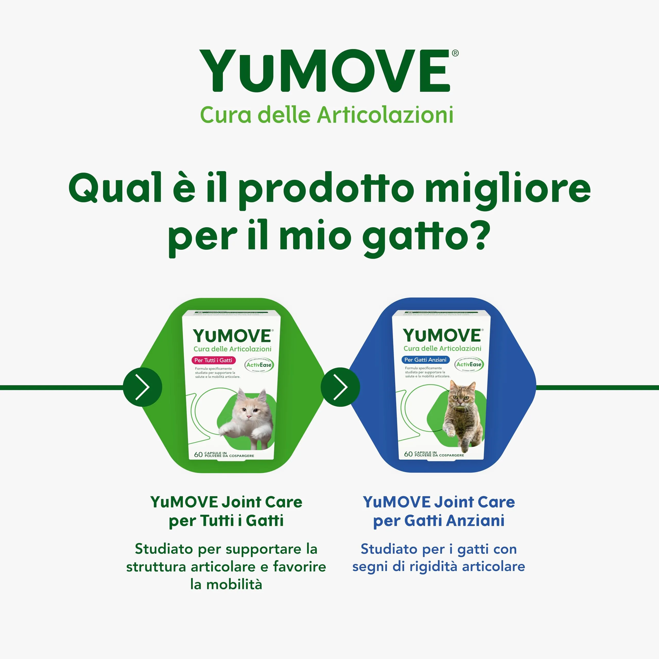 Yumove Integratore Quotidiano Articolazioni Gatti – 60 Capsule ActivEase - immagine 7