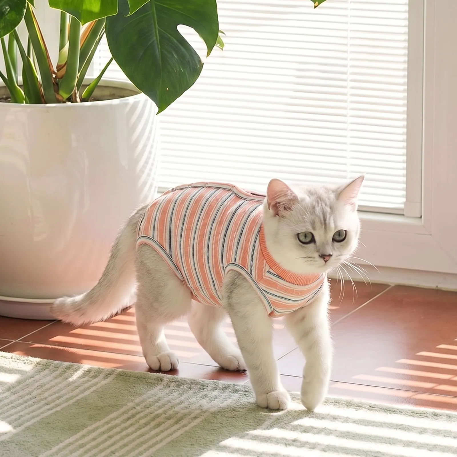 CITÉTOILE Body Gatto Postoperatorio Tuta di Recupero Antilamido Arancione XS - immagine 7