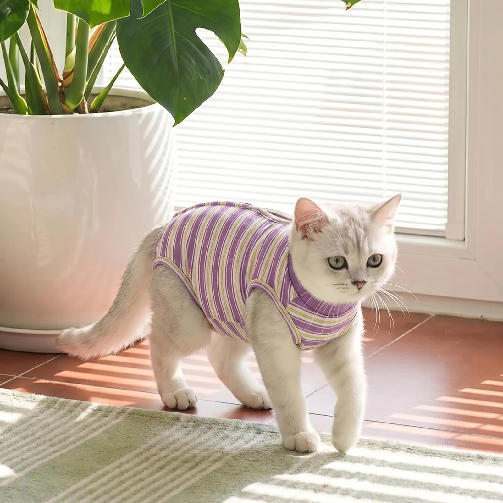 CITÉTOILE Body Gatto Postoperatorio Tuta di Recupero Antilamido Viola XS - immagine 7