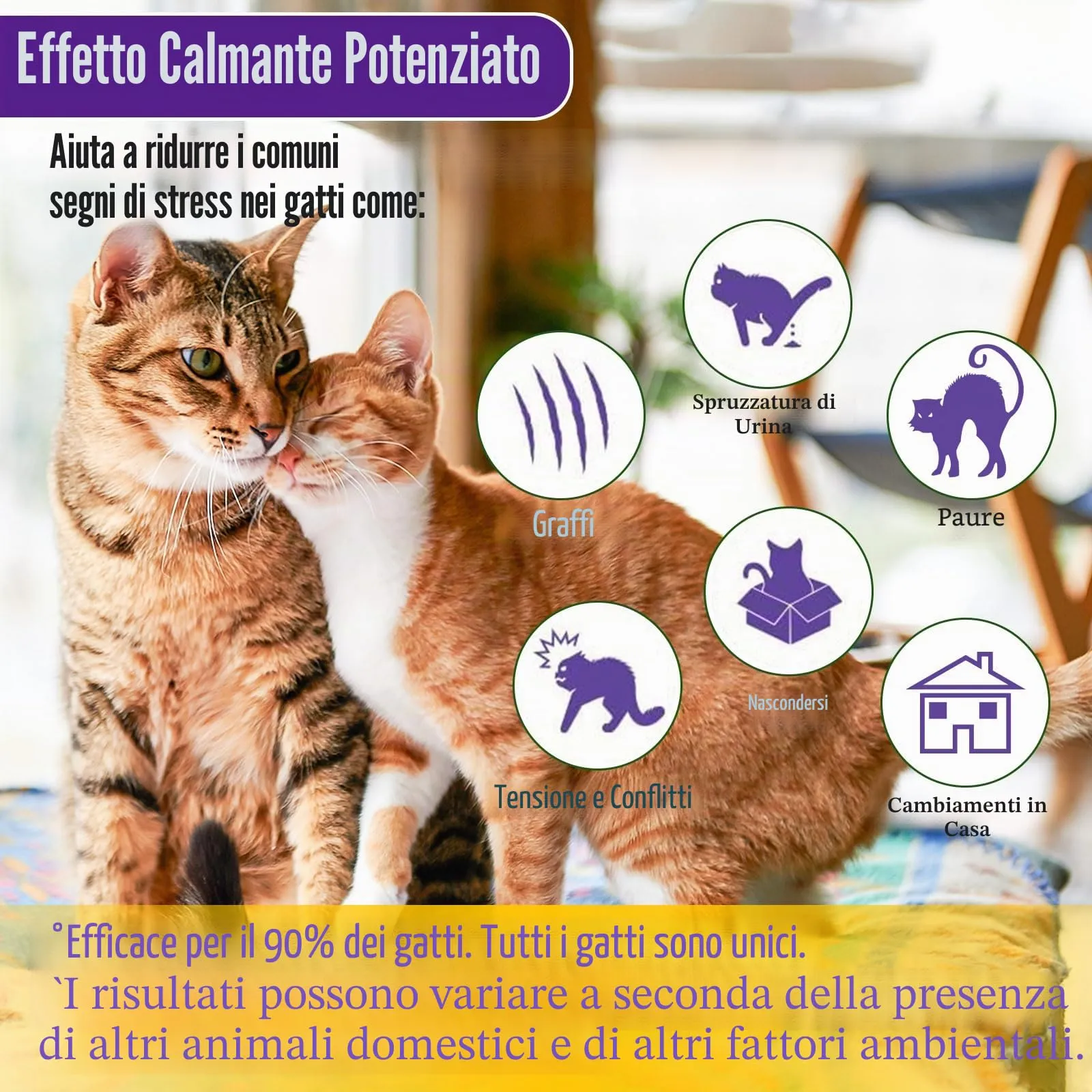 DOGGYZSTYLE Cat Calming Pheromone Diffuser And Spray,Set di diffusori per Gatti con feromoni per Gatti,Spray calmante per Gatti,allevia Lo Stress da ansia (2 Ricarica+1 Spray) - immagine 2