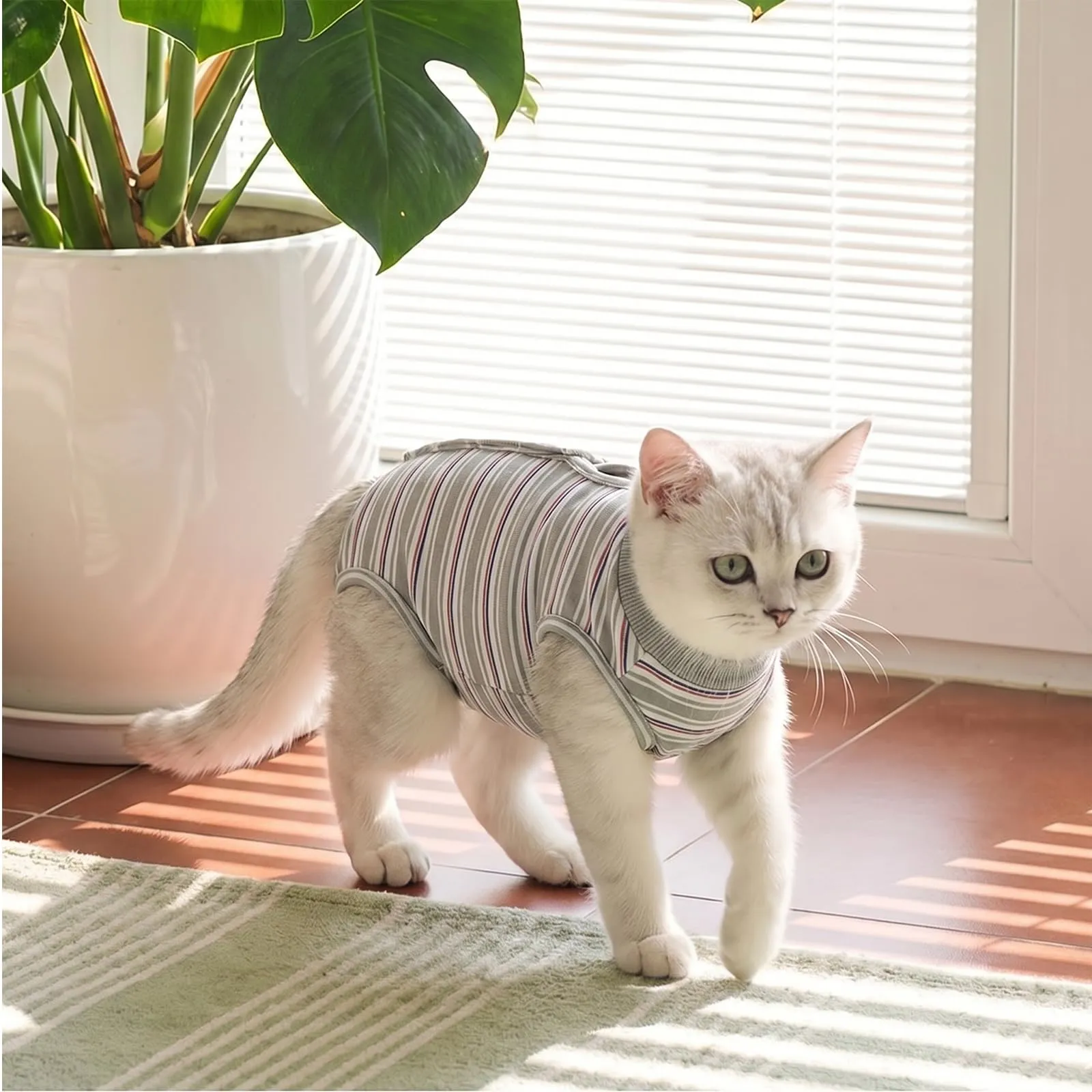 CITÉTOILE Body Gatto Postoperatorio Tuta di Recupero Antilamido Grigio M - immagine 7