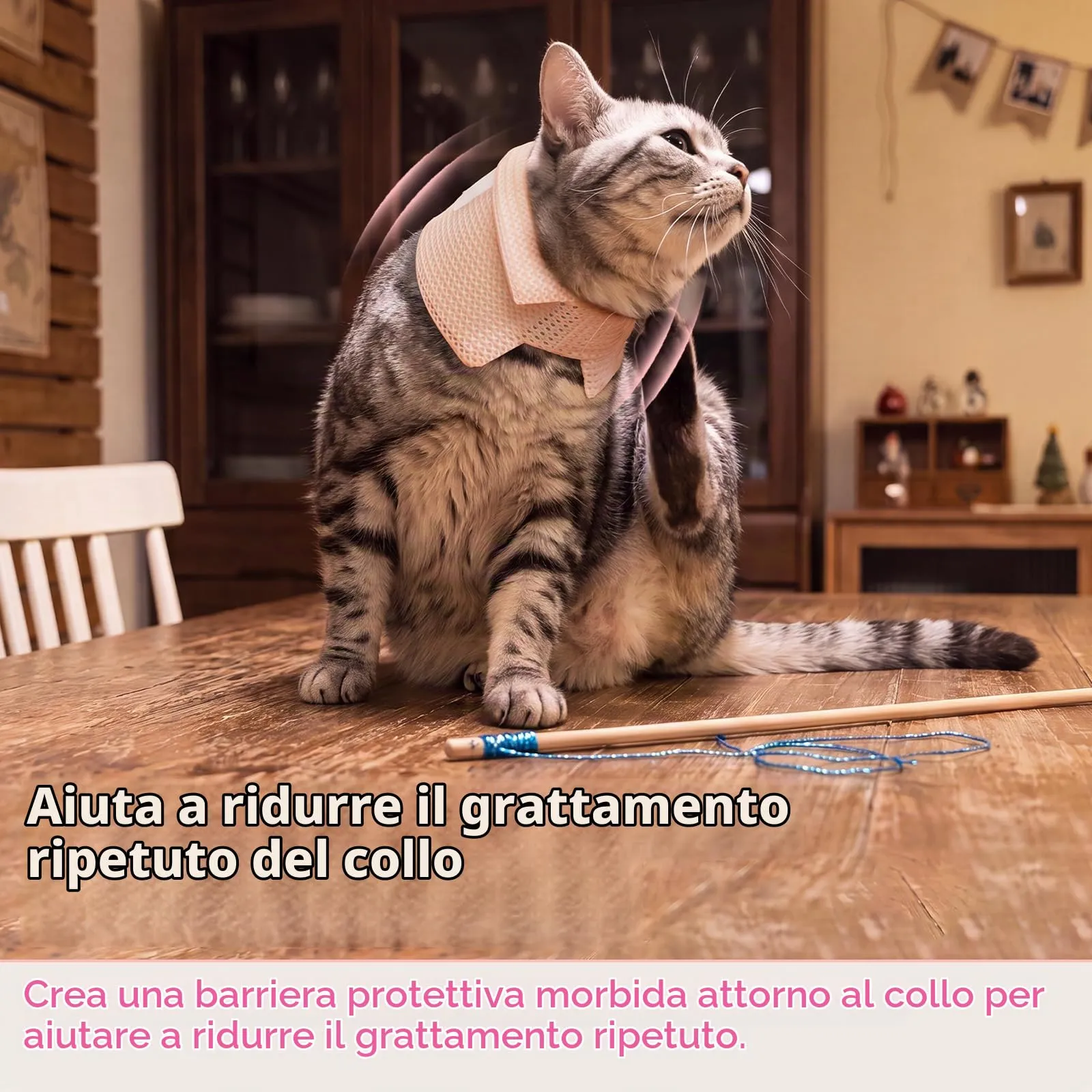 Set di 2 collari antigraffio per gatti - immagine 2