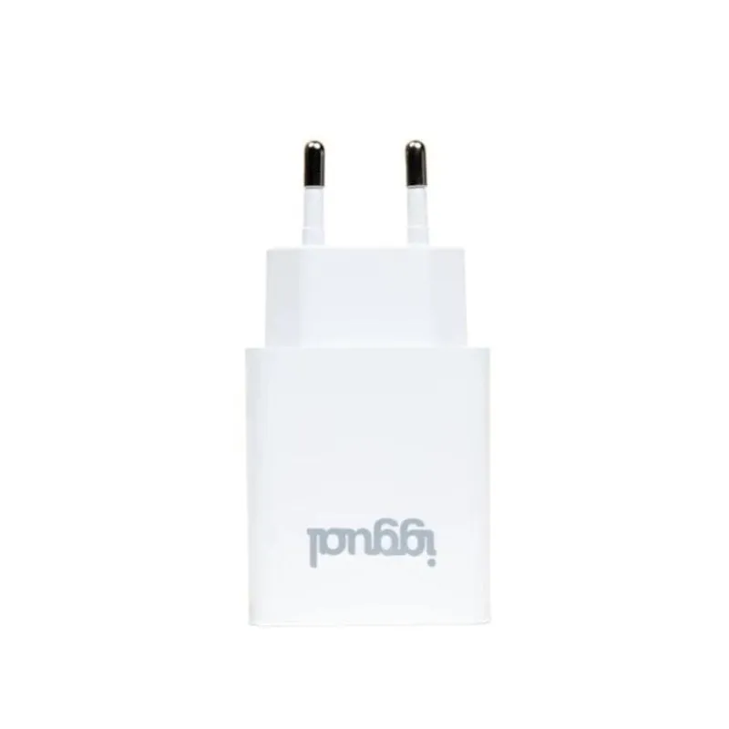 Caricatore a muro IGGUAL 1xUSB 5V/2.4A (12W) universale bianco - immagine 1