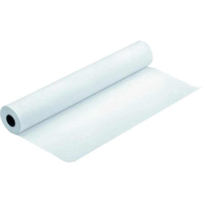 Carta Fotografica Gloss Epson 111,8 cm x 30,5 m 250 g/m² - immagine 1