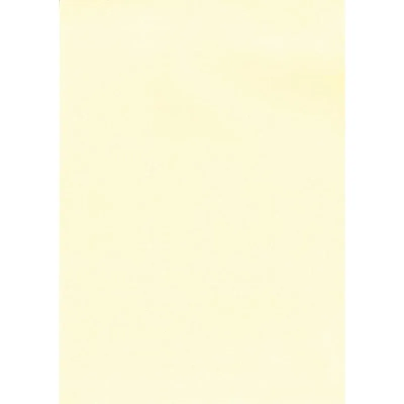 Carta Verjurata Crema A4 APLI 100 Fogli 100 g/m² per Stampanti - immagine 1