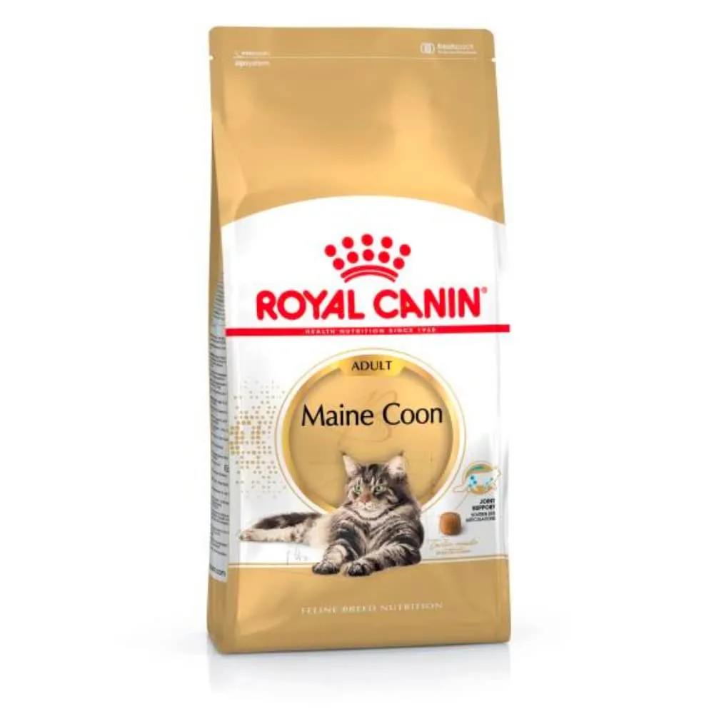 Royal Canin Maine Coon 31 - immagine 1