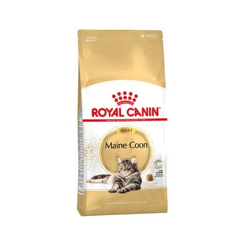 Royal Canin Maine Coon 31 - immagine 4