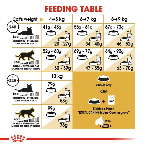 Royal Canin Maine Coon 31 - immagine 6