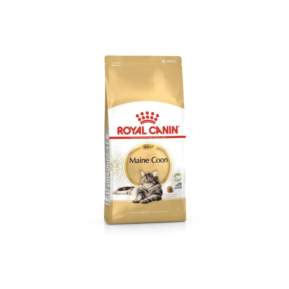 Royal Canin Maine Coon Adult | 400 g | Cibo secco per gatti | Adattato alle esigenze dei gatti Maine Coon | Per il sostegno delle articolazioni e delle ossa - immagine 1