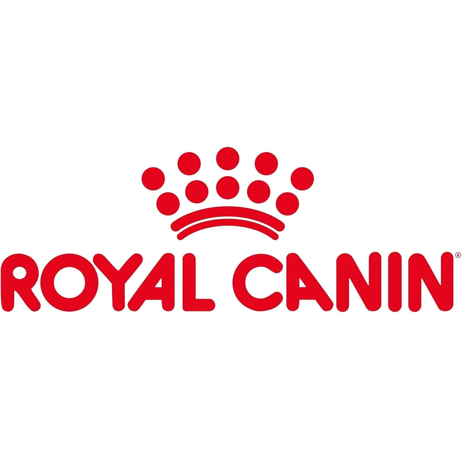 Royal Canin Maine Coon Adult | 400 g | Cibo secco per gatti | Adattato alle esigenze dei gatti Maine Coon | Per il sostegno delle articolazioni e delle ossa - immagine 2