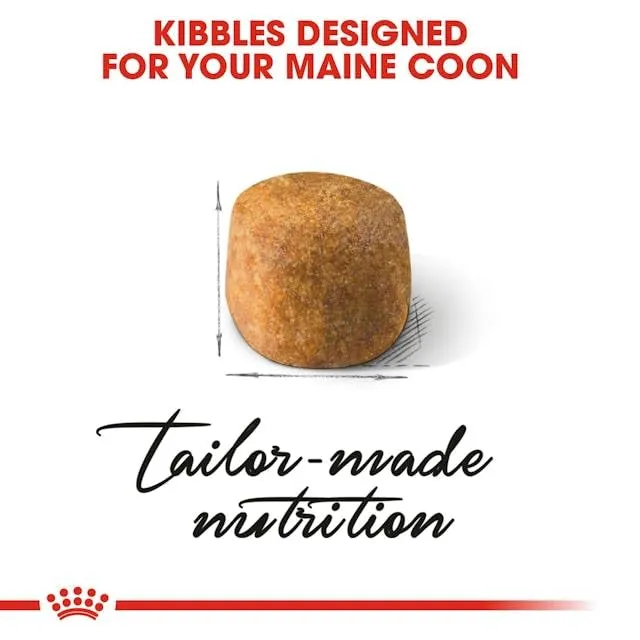 Royal Canin Maine Coon Adult | 400 g | Cibo secco per gatti | Adattato alle esigenze dei gatti Maine Coon | Per il sostegno delle articolazioni e delle ossa - immagine 6